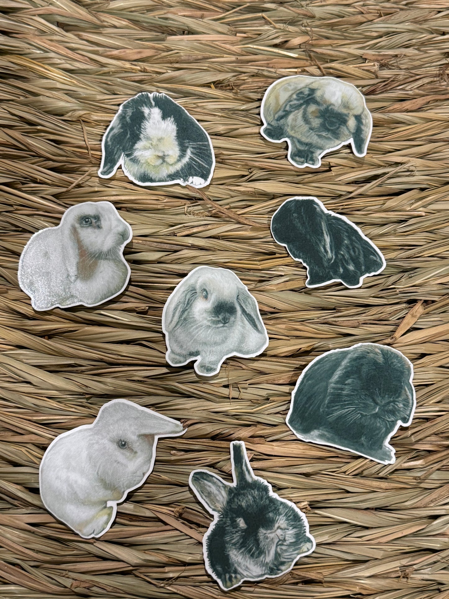 The Shrewsbury Buns Collection - Dahlia