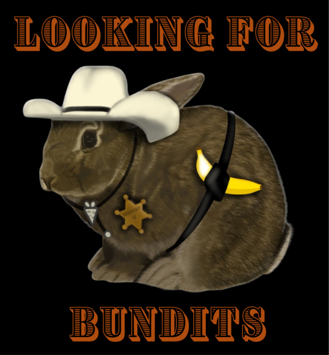 Looking For Bundits Overhead Hoodie