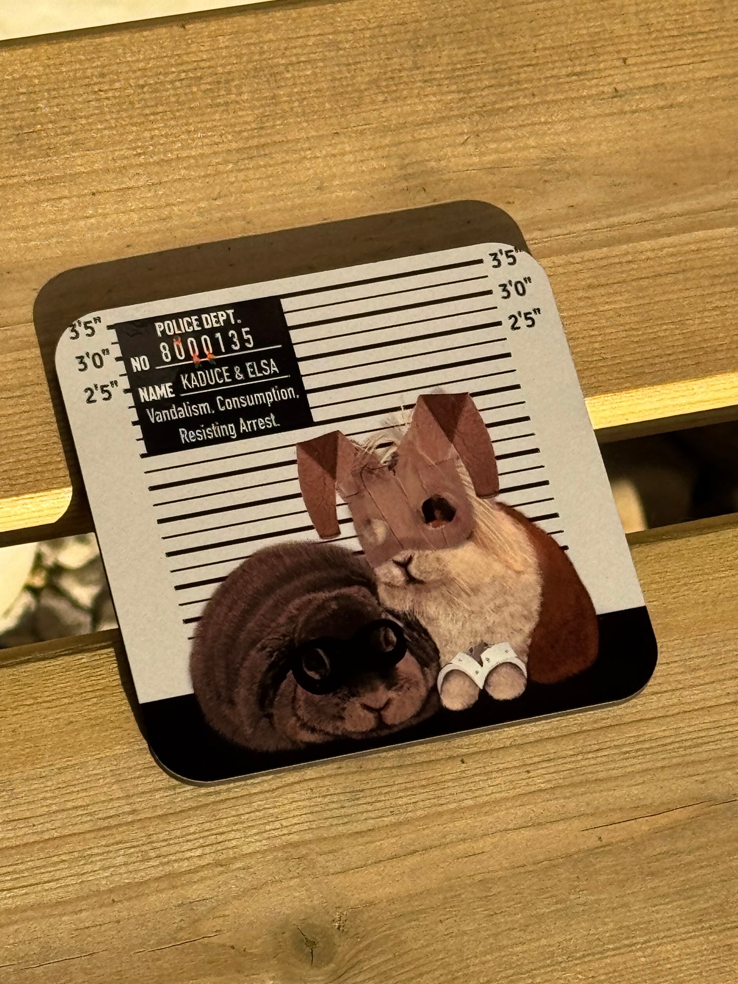 Criminal Bunnies