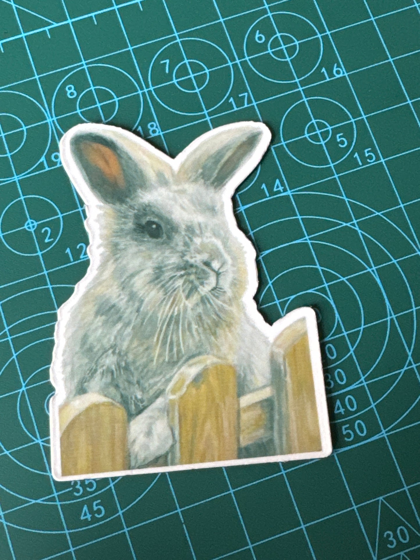 The Shrewsbury Buns Collection - Mr P (Fence)