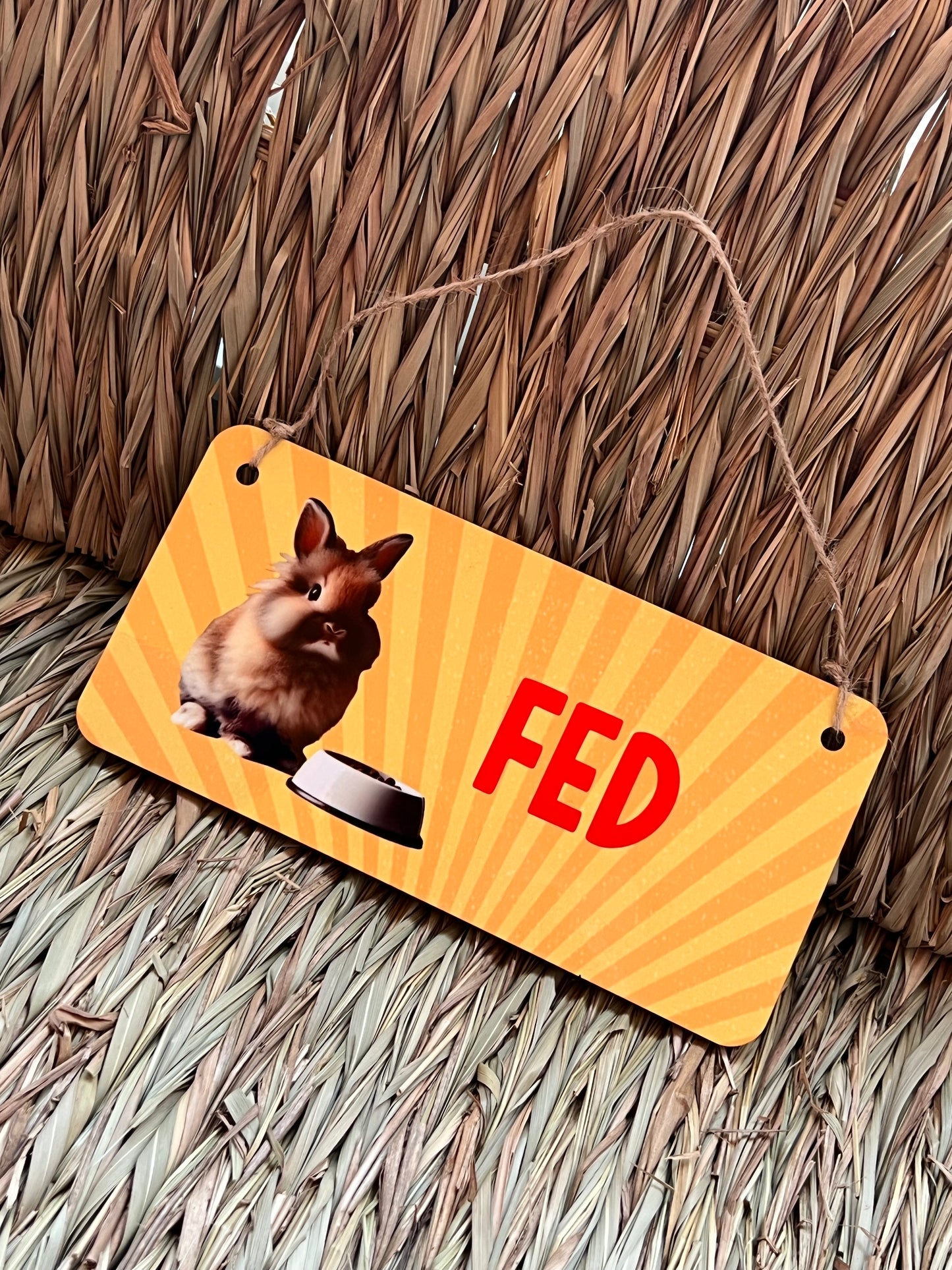 Feed the bunny hanging wooden sign