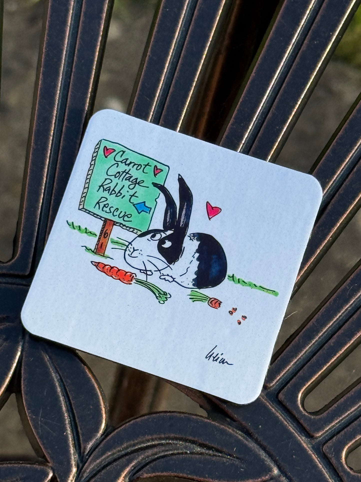 Carrot Cottage Rabbit Rescue - Robert