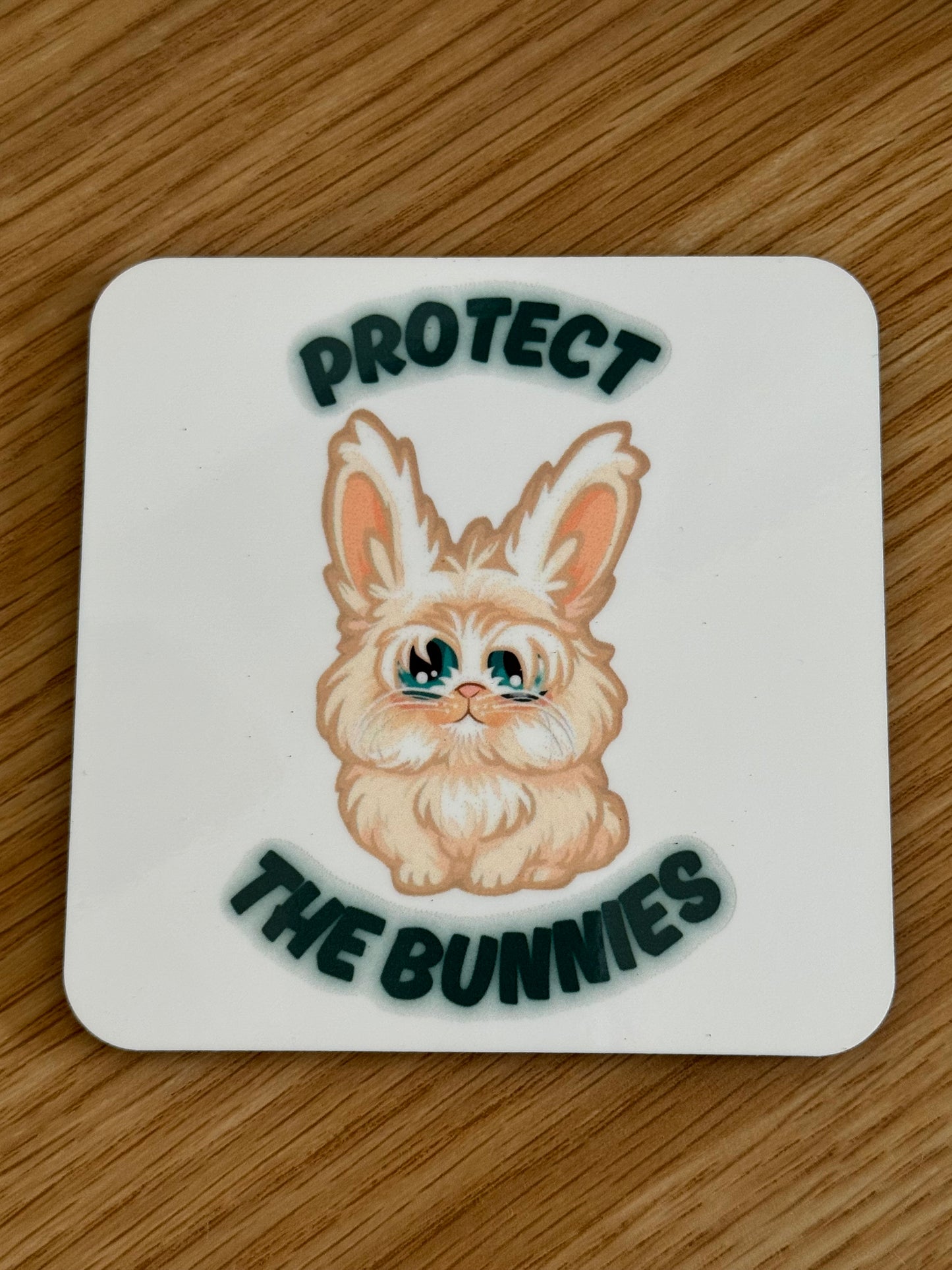 Carrot Cottage Rabbit Rescue - Protect The Bunnies - Bruce