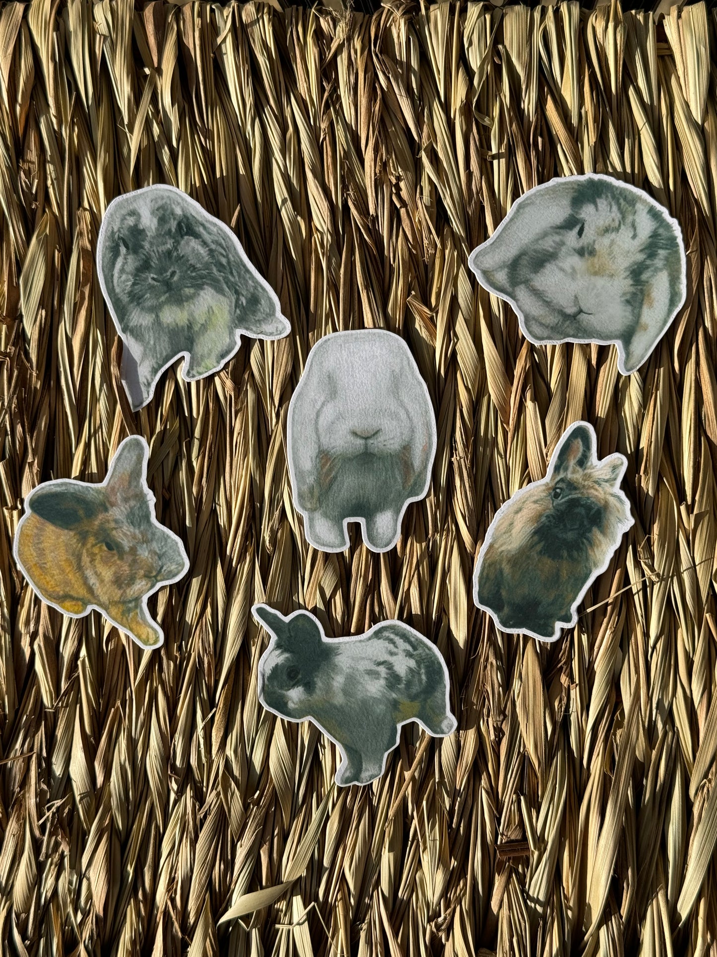 The Shrewsbury Buns Rainbow Bridge Collection - Elijah