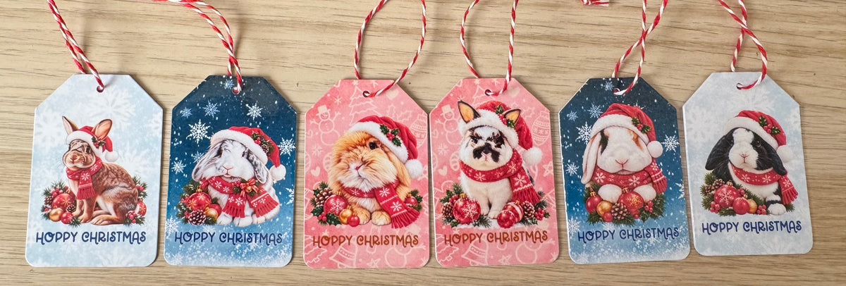 Shrewsbury Rabbit Rescue - Pack of 6 Christmas Gift Tags