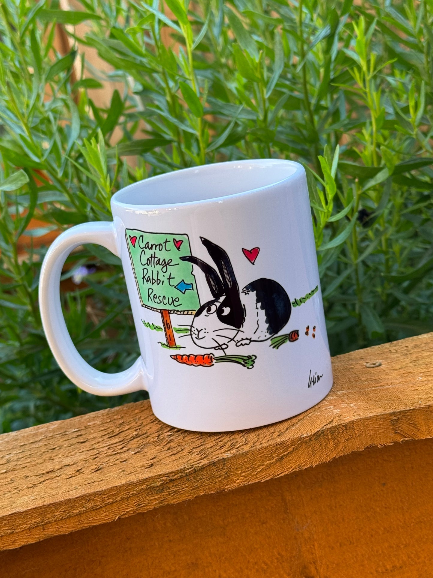 Carrot Cottage Rabbit Rescue - Robert