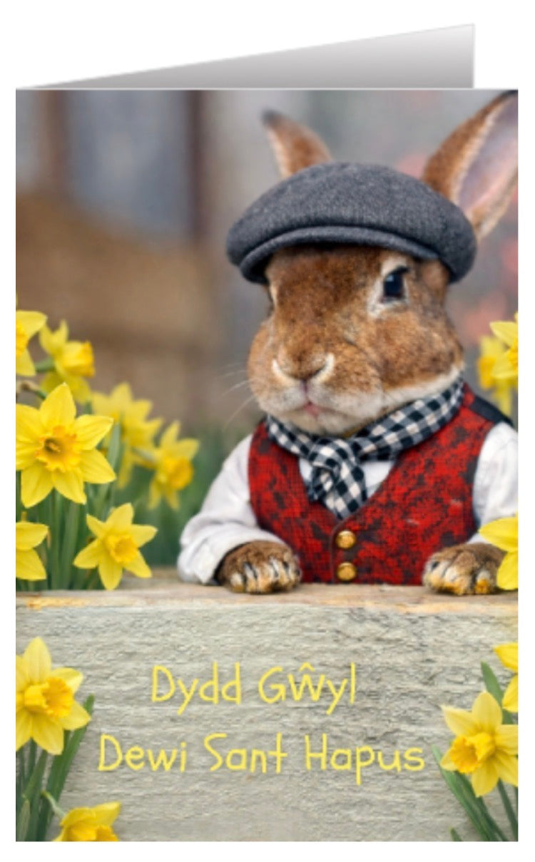 CCRR St David's Day Greeting Card - Watson