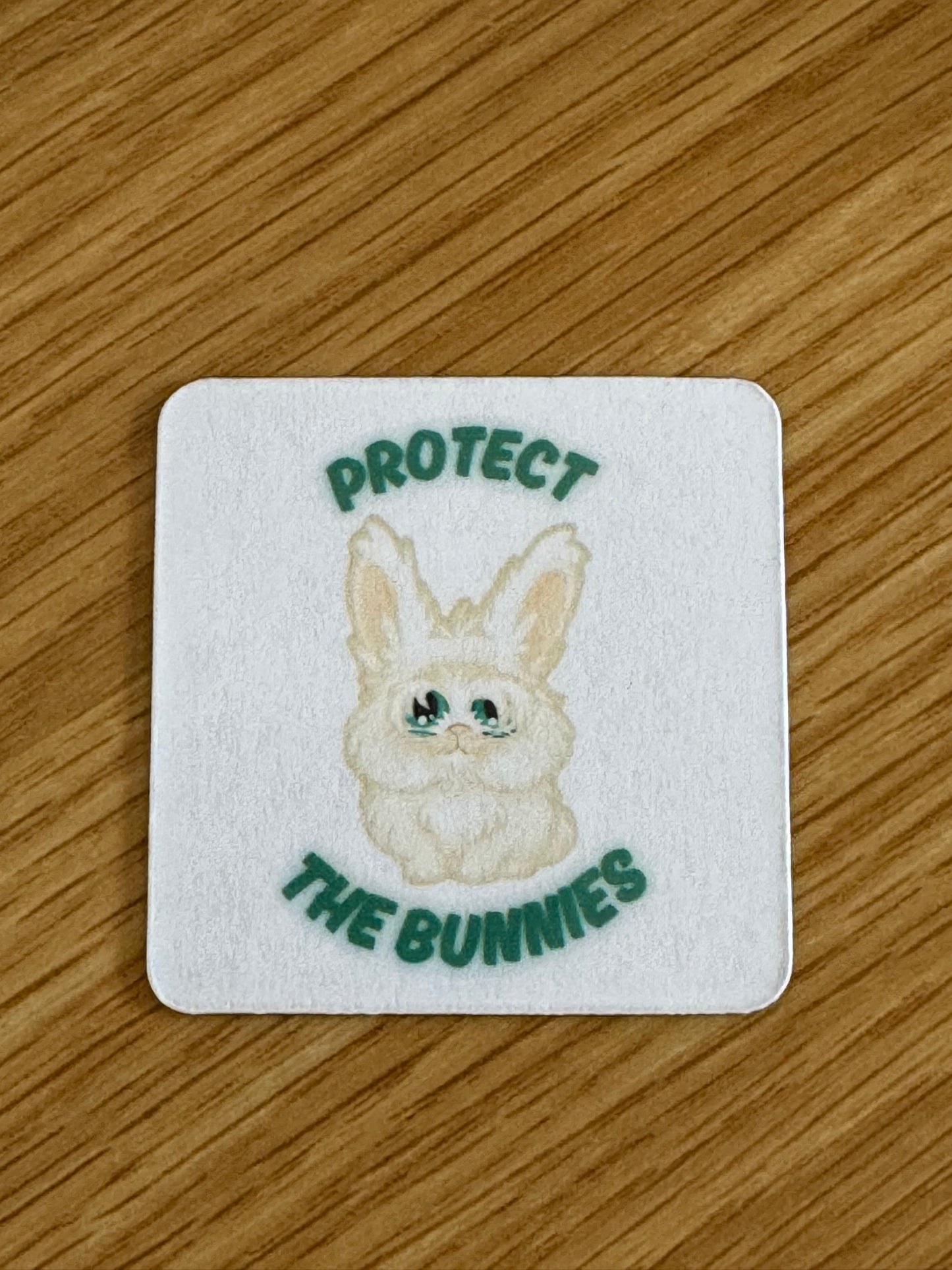 Carrot Cottage Rabbit Rescue - Protect The Bunnies - Bruce