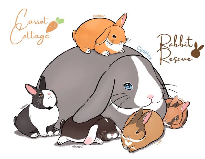 CCRR - SonaBunArt - Bunnies - Long Sleeved Unisex Top