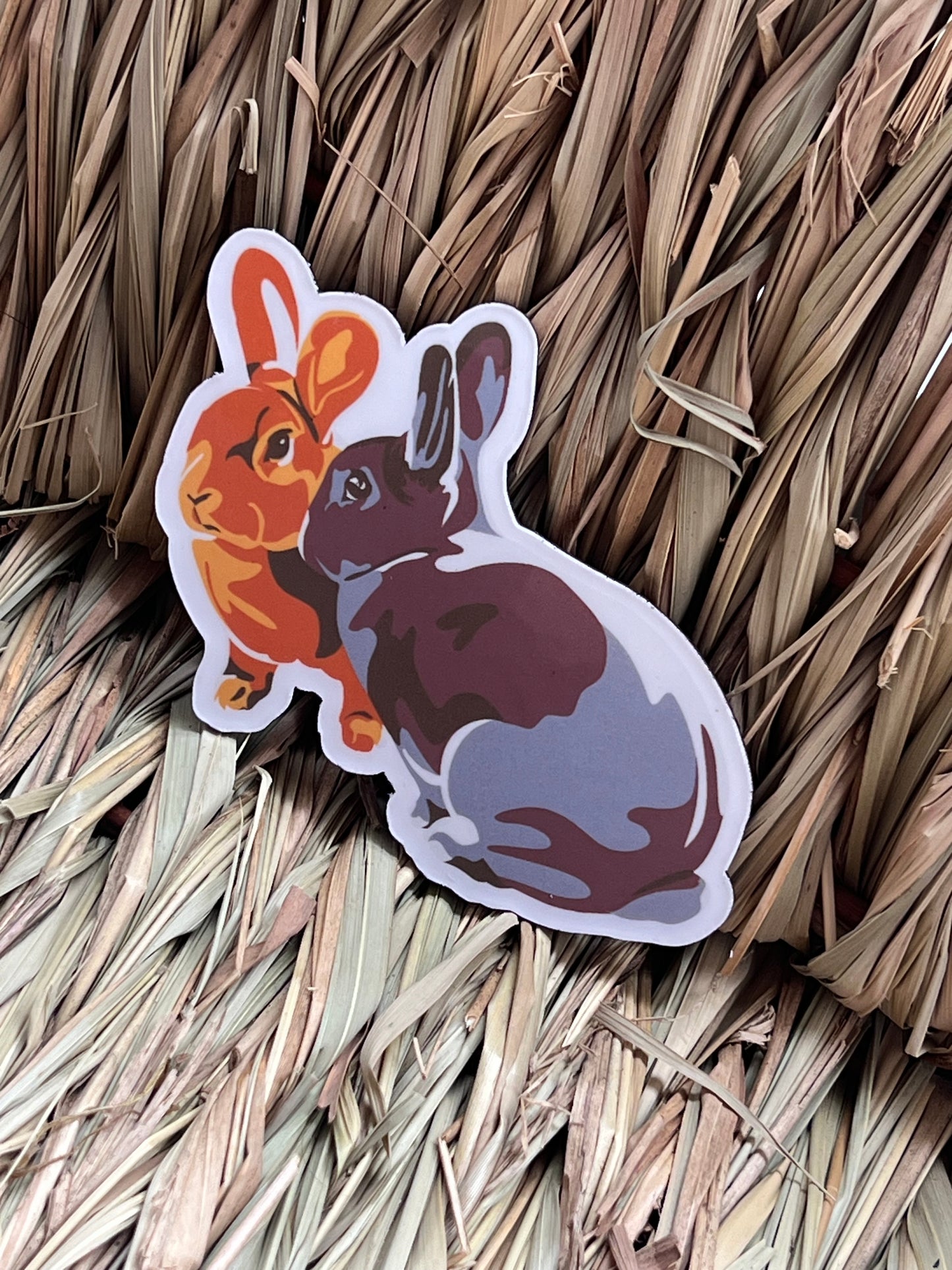 JJ and Hettie Magnets