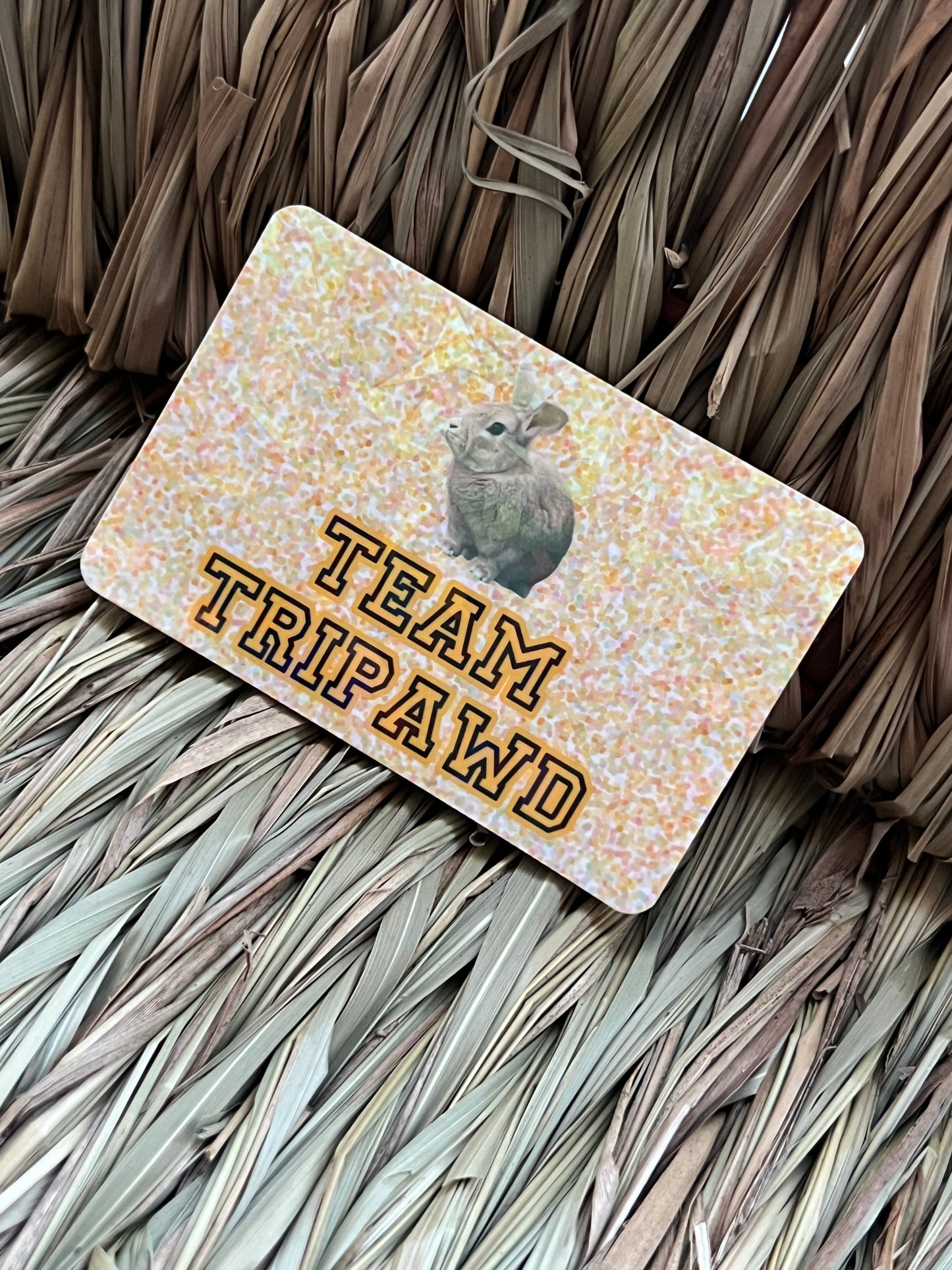 Team Tripawd Stickers