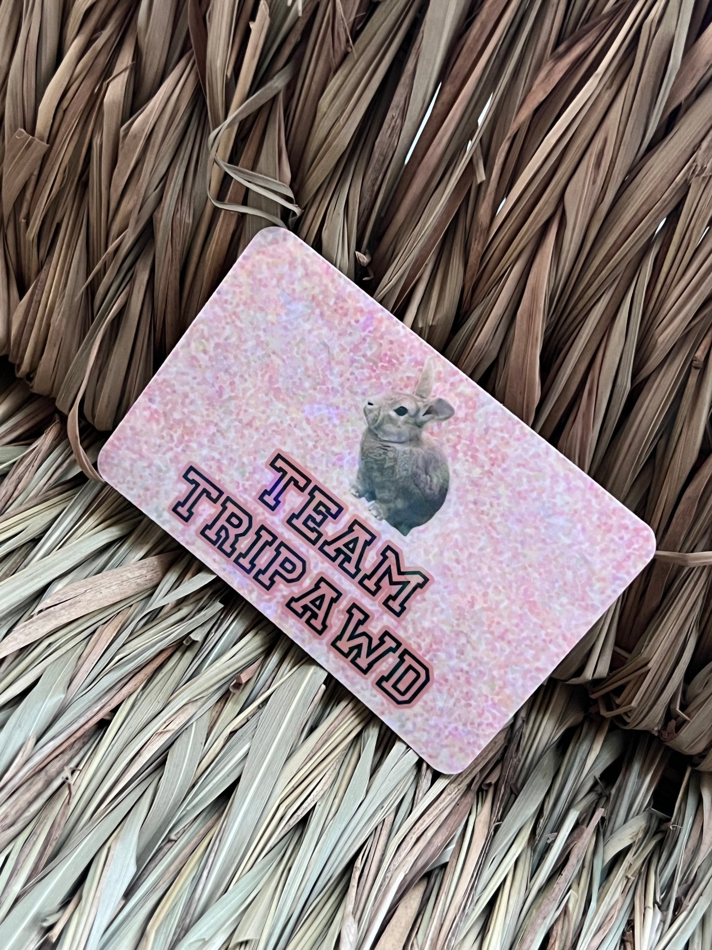 Team Tripawd Stickers