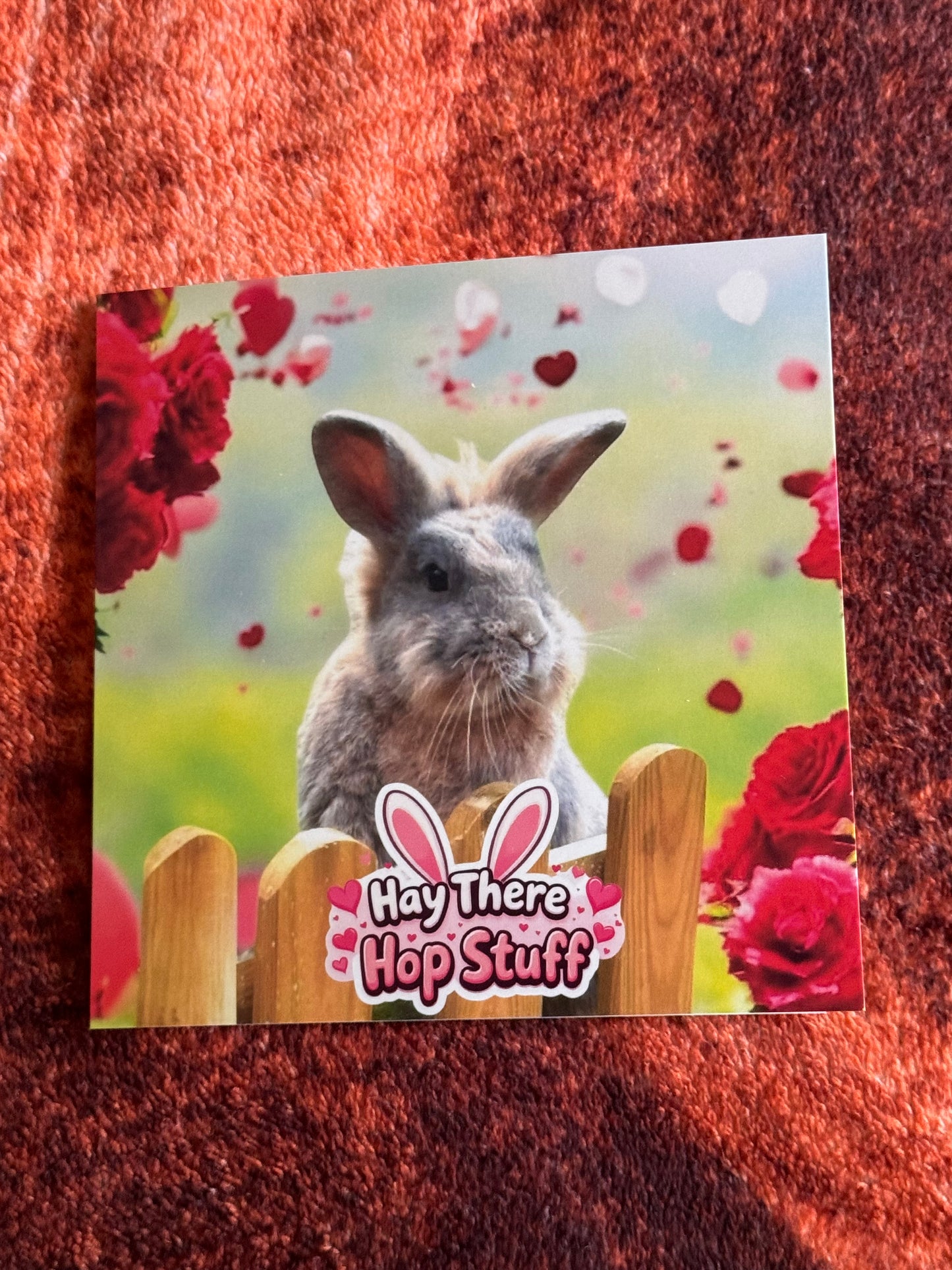 Shrewsbury Rabbit Rescue - Mr P Valentine’s Day Card