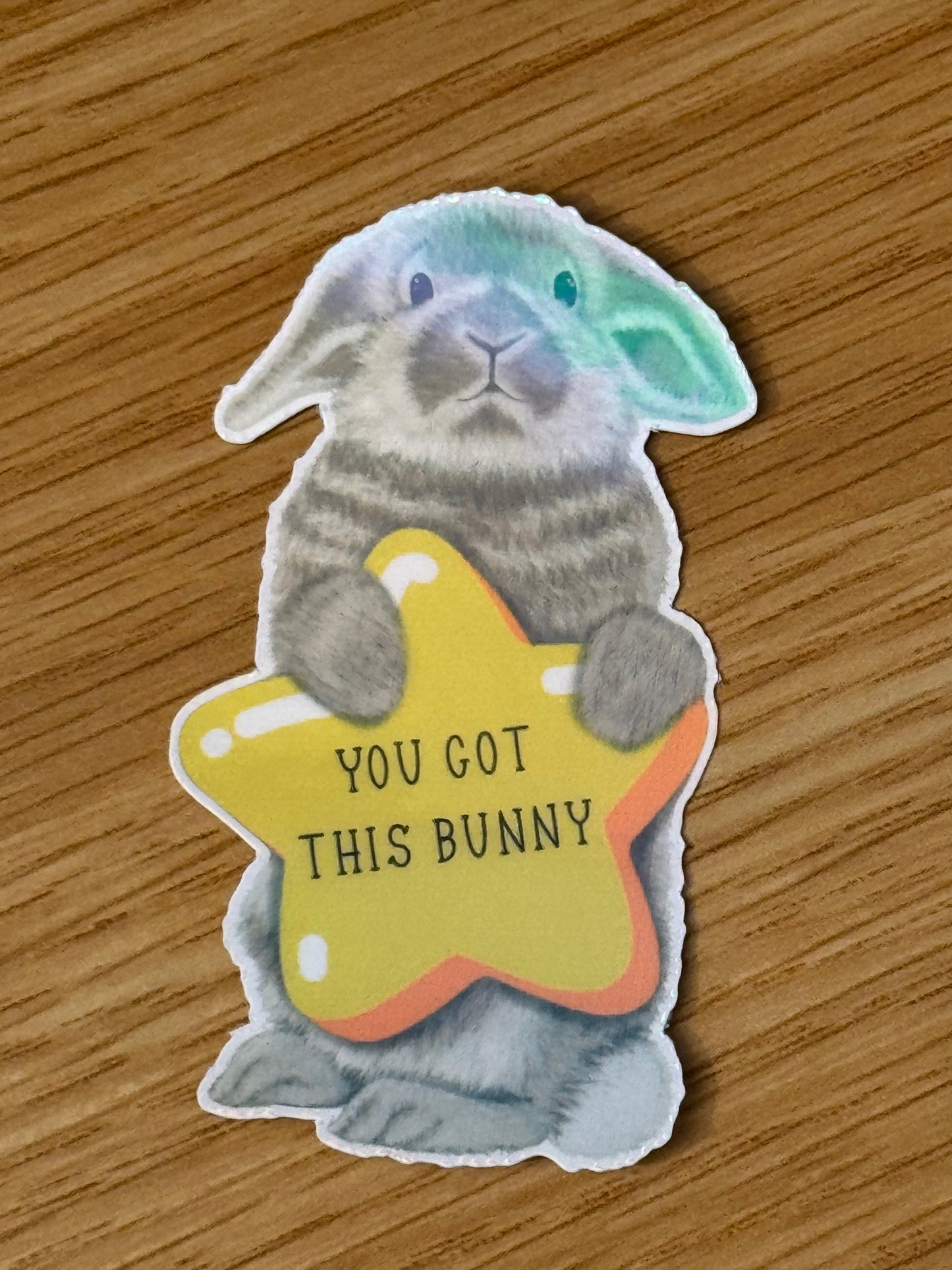 You got this bunny