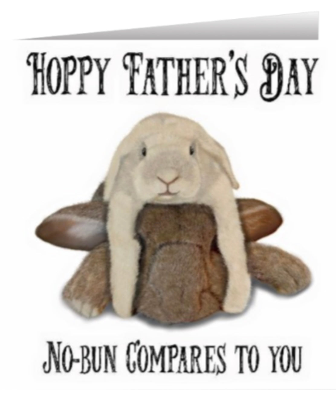 Hoppy Father’s Day Greeting Card