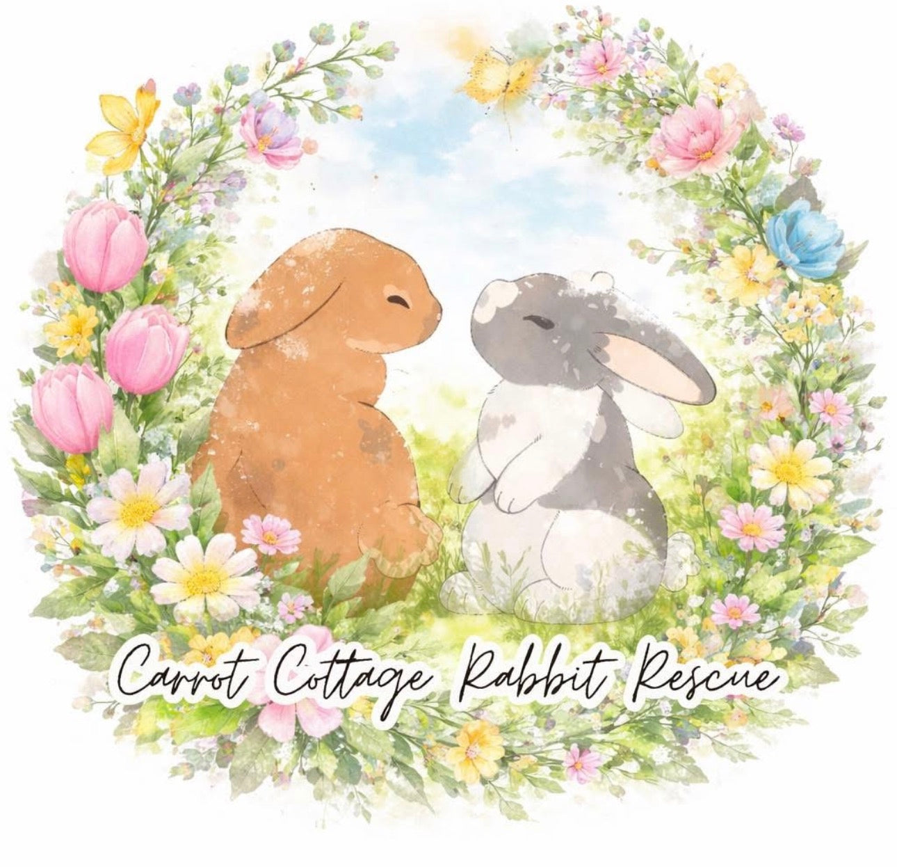 Fundraiser for Carrot Cottage Rabbit Rescue