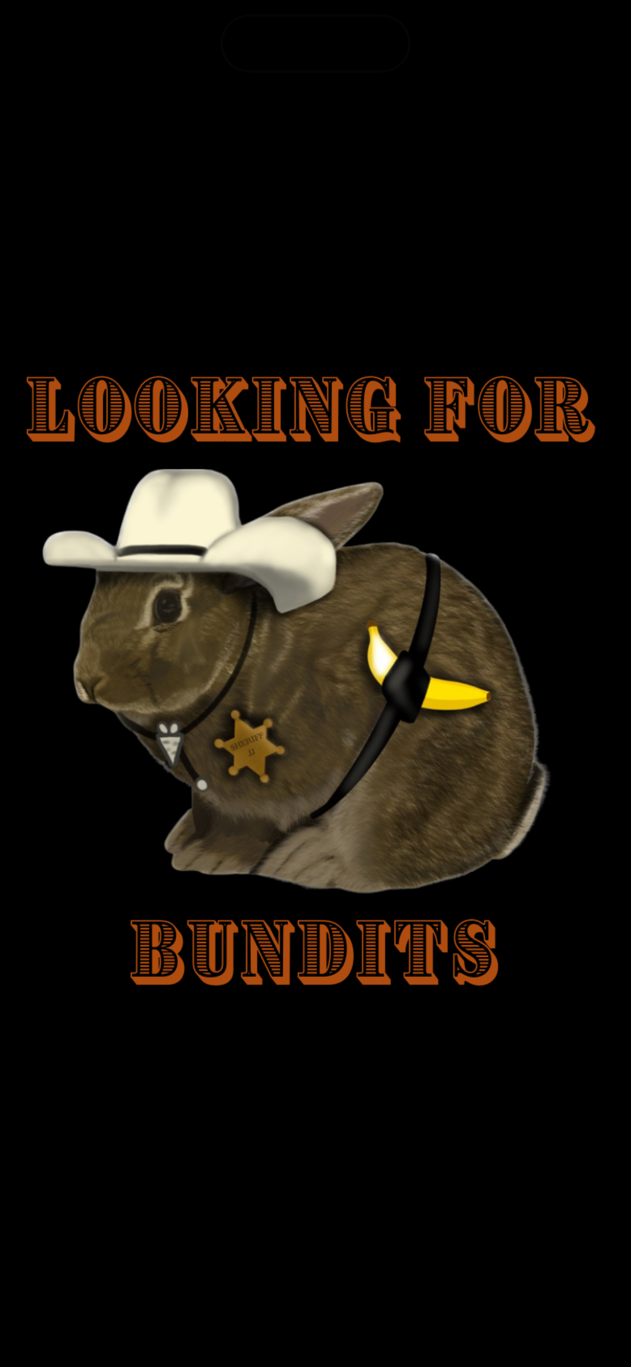 JJ - Looking For Bundits T-Shirt