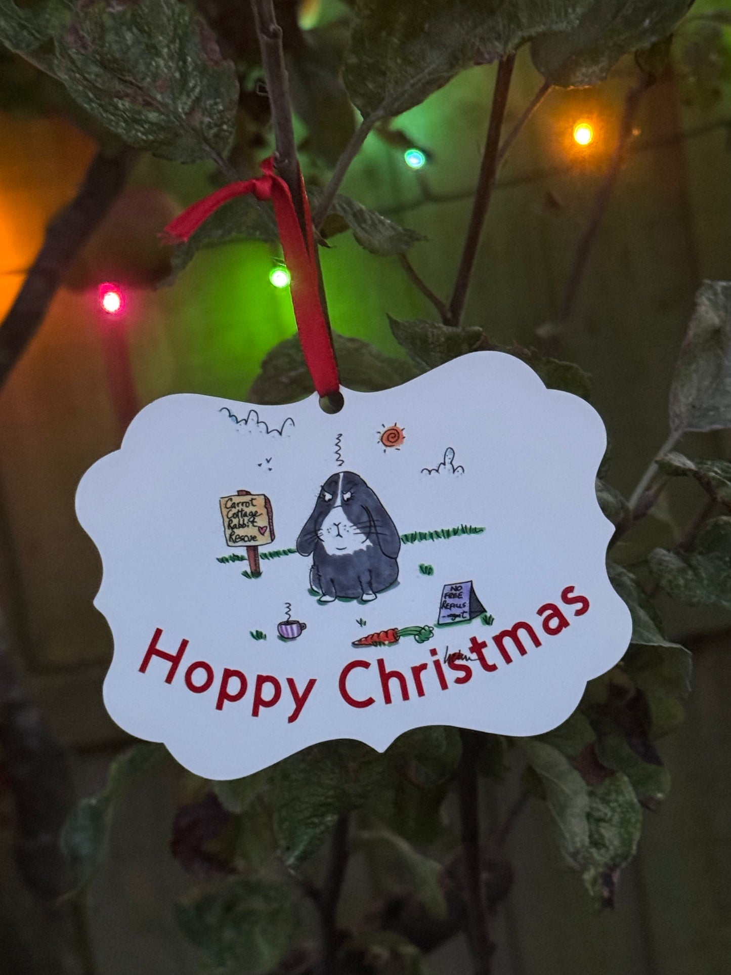 Carrot Cottage Rabbit Rescue - Cynthia