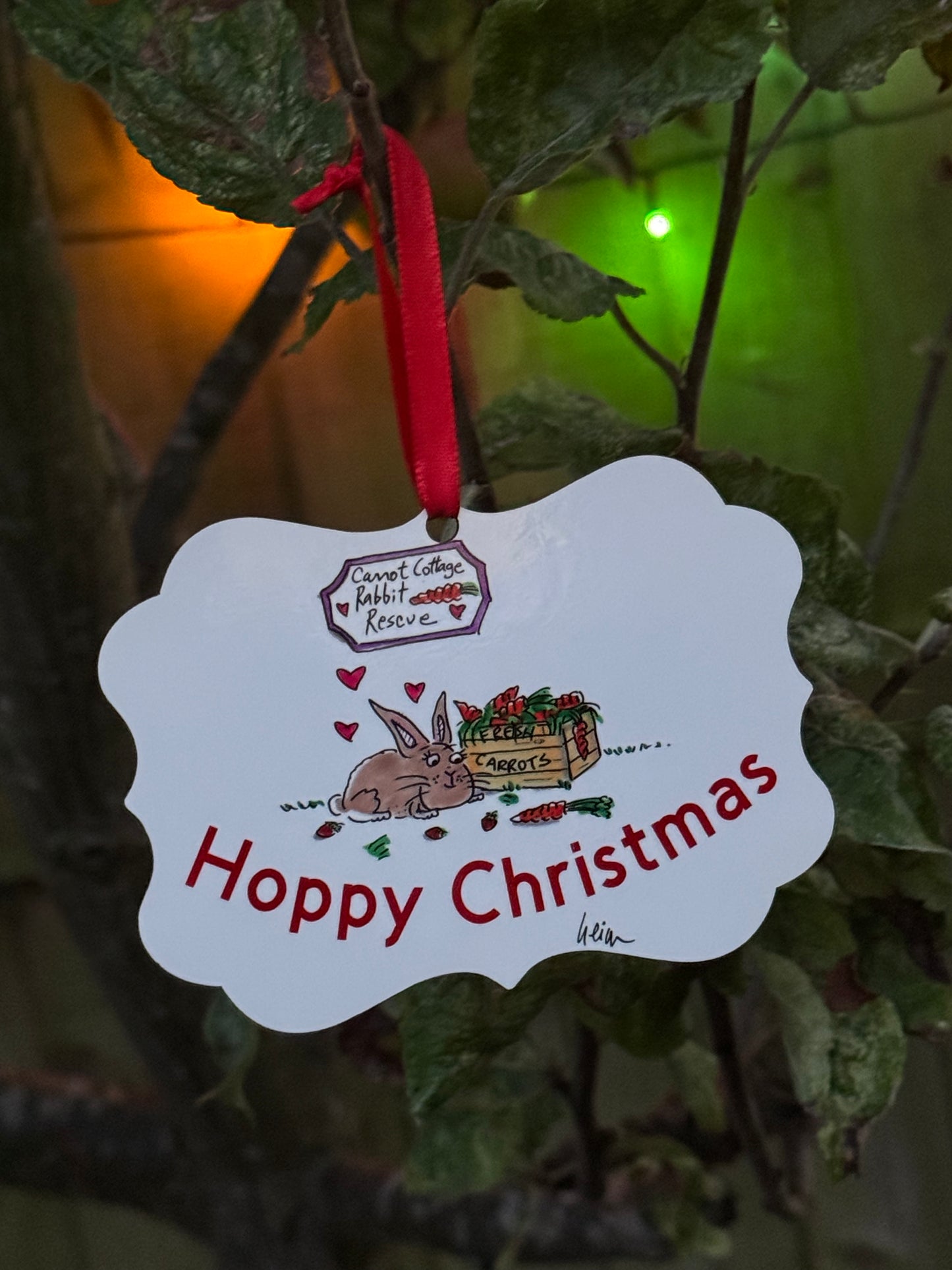 Carrot Cottage Rabbit Rescue - Linda