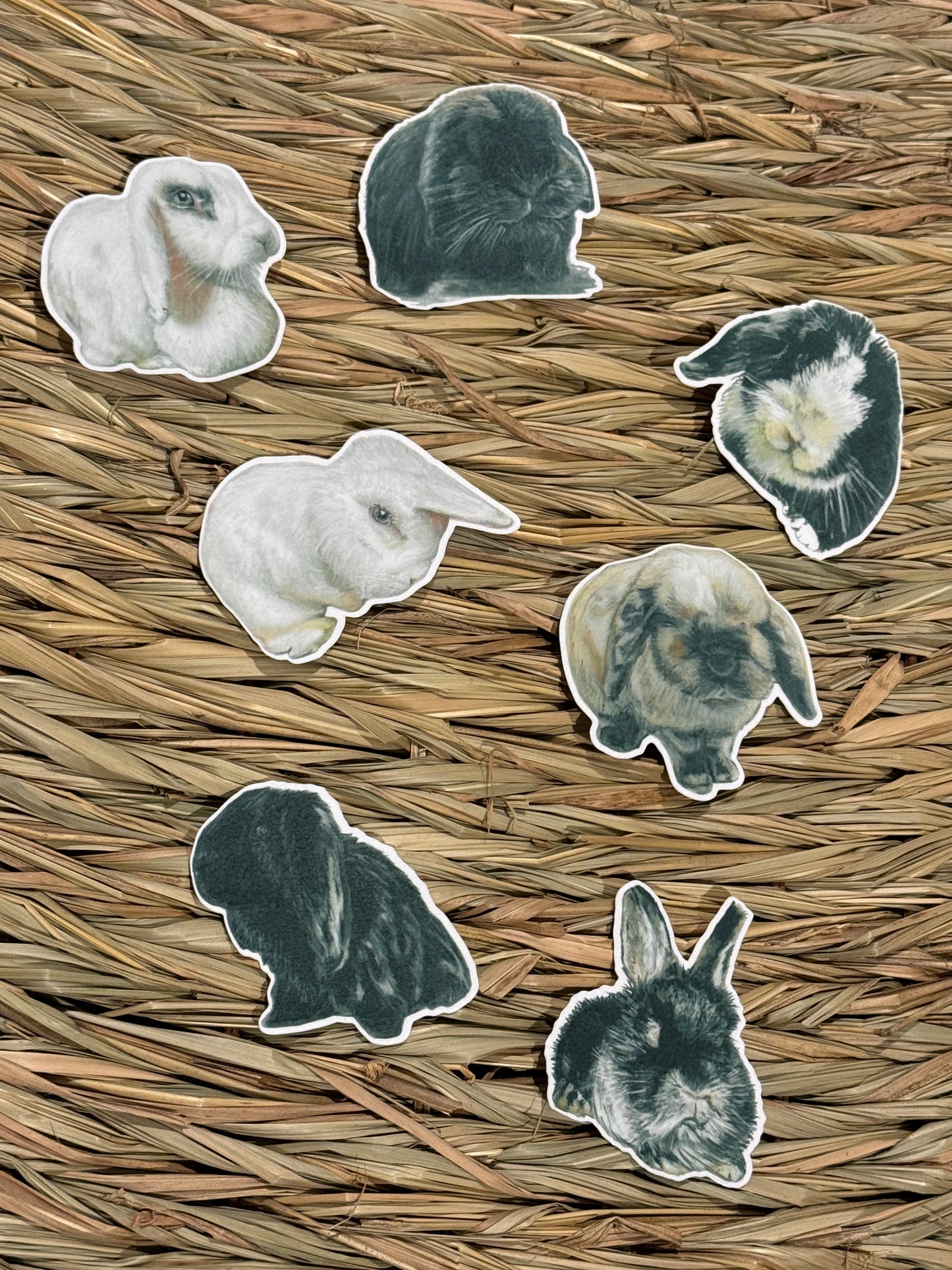 The Shrewsbury Buns Rainbow Bridge Collection - Stan