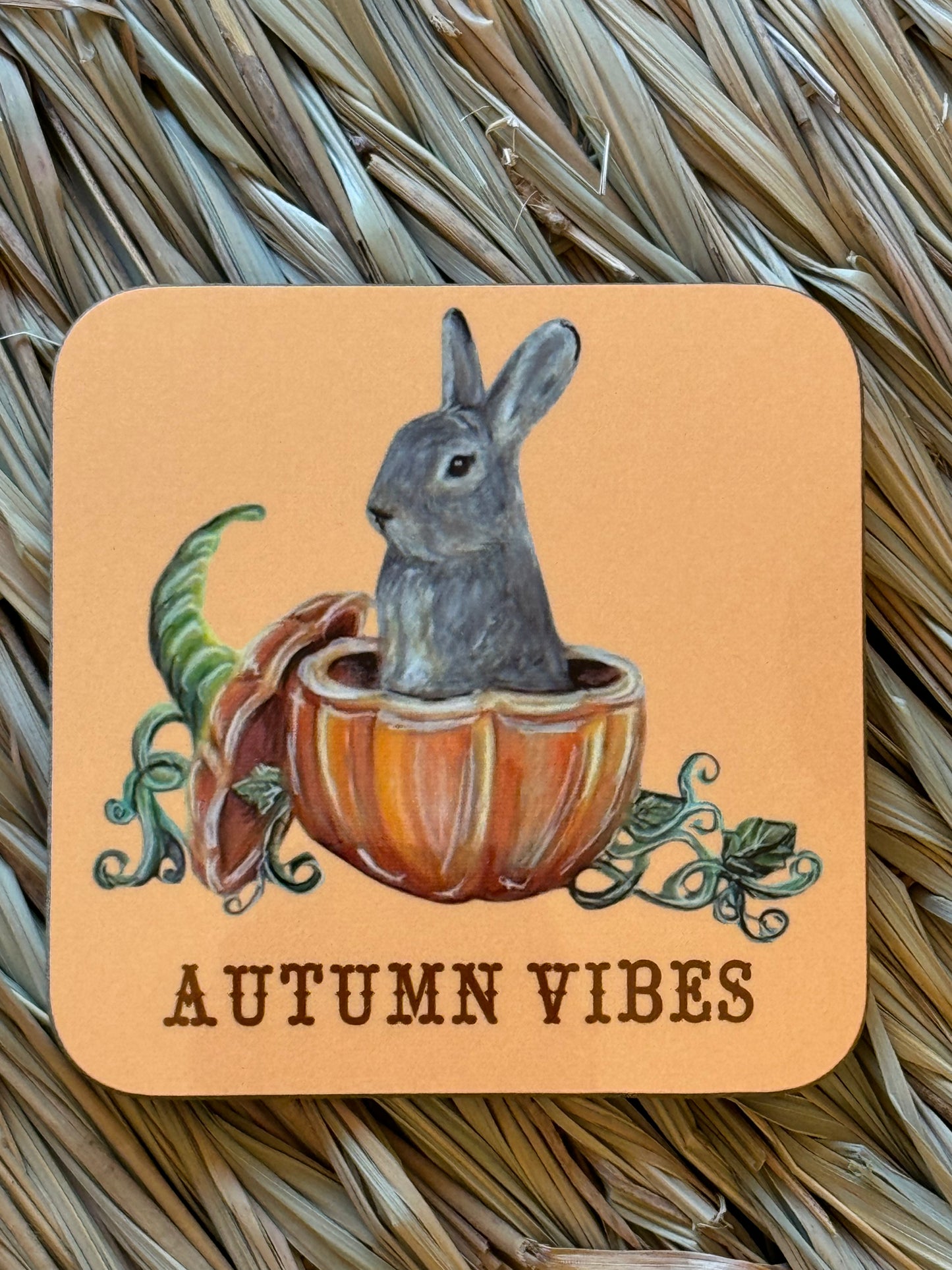 Halloween JJ in a pumpkin