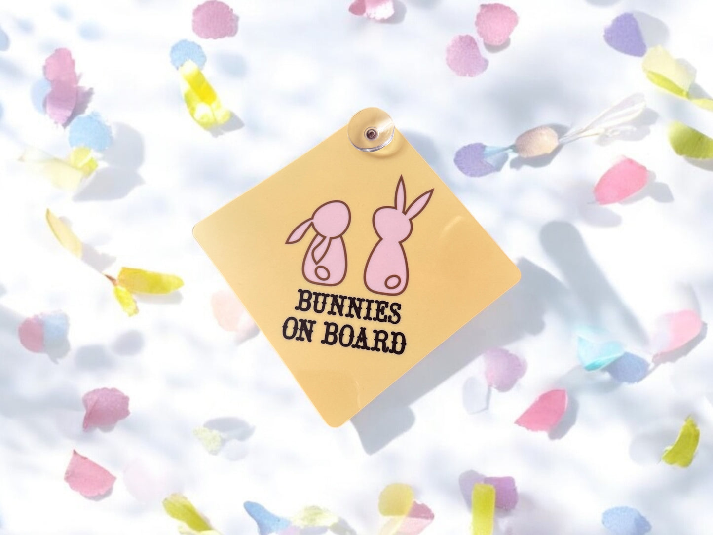 Bunny Car Signs