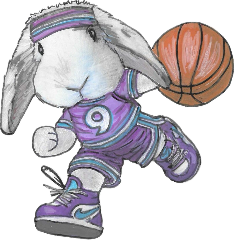Scribbles Basketball
