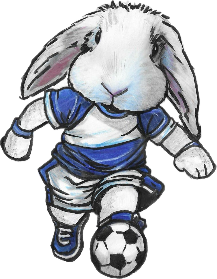 Scribbles Footballer