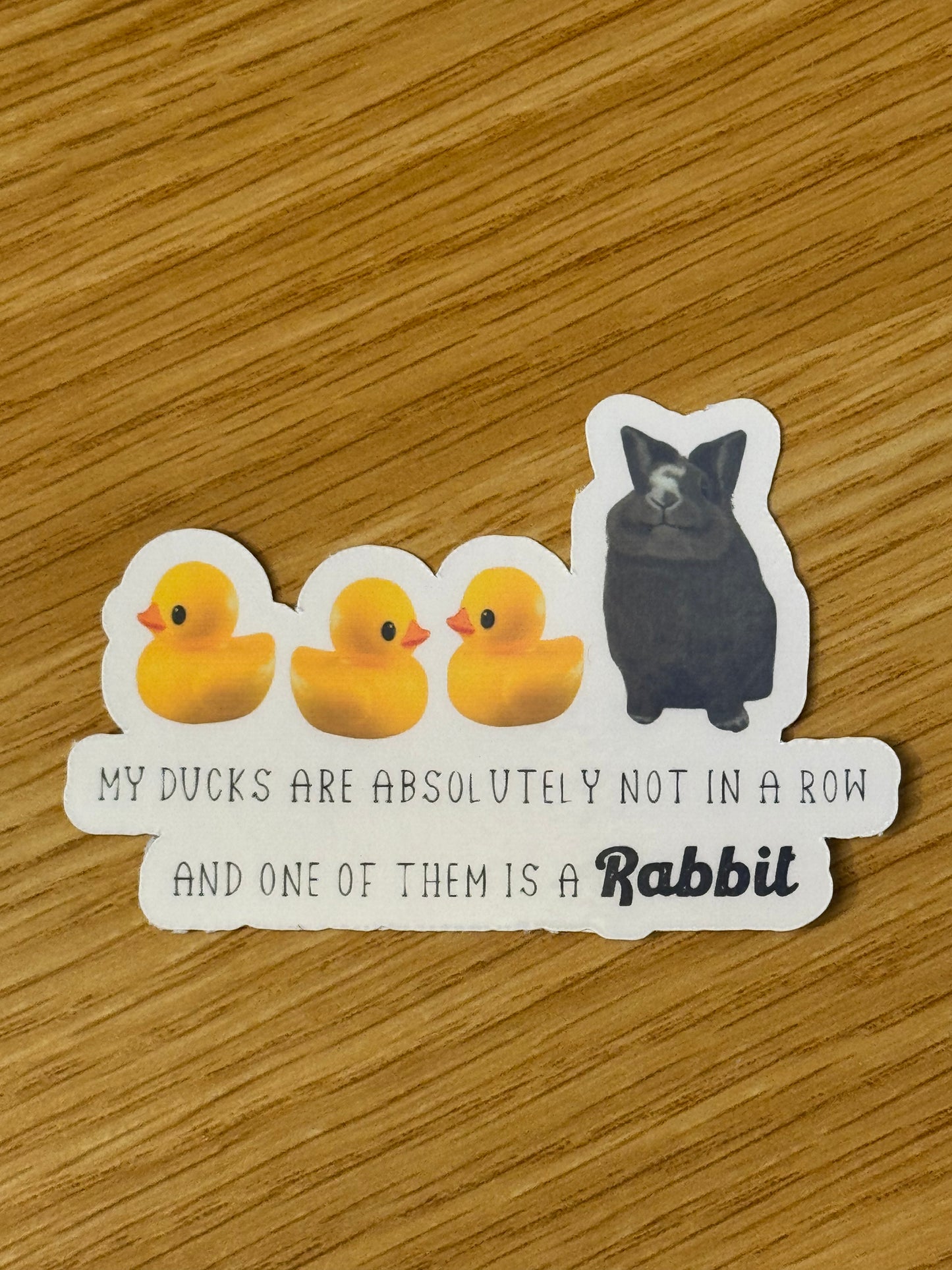 My ducks are absolutely not in a row and one of them is a rabbit