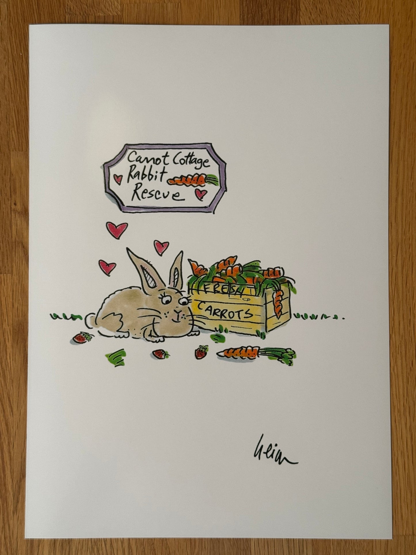 Carrot Cottage Rabbit Rescue - Linda