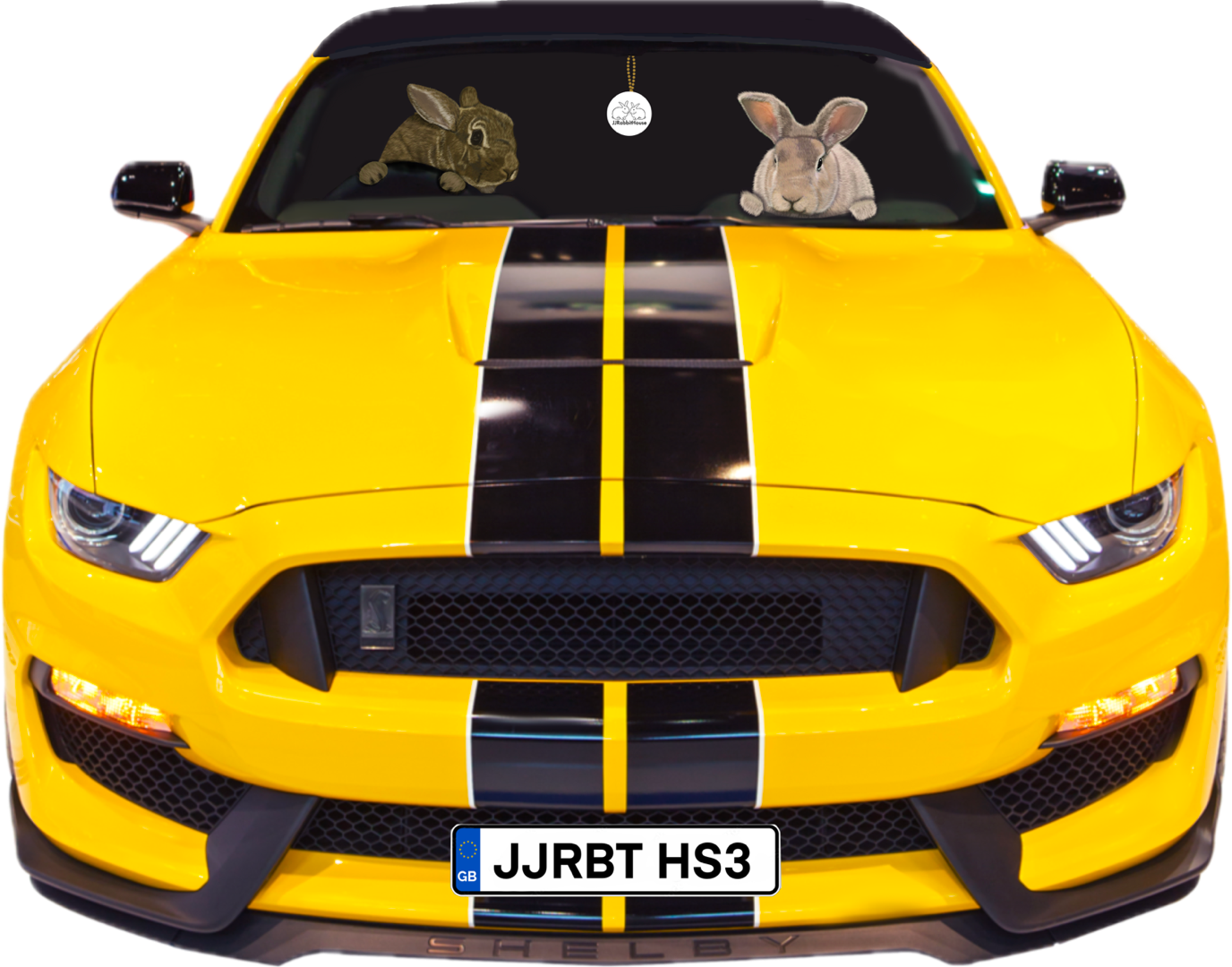 JJRH JJ and Hettie Mustang