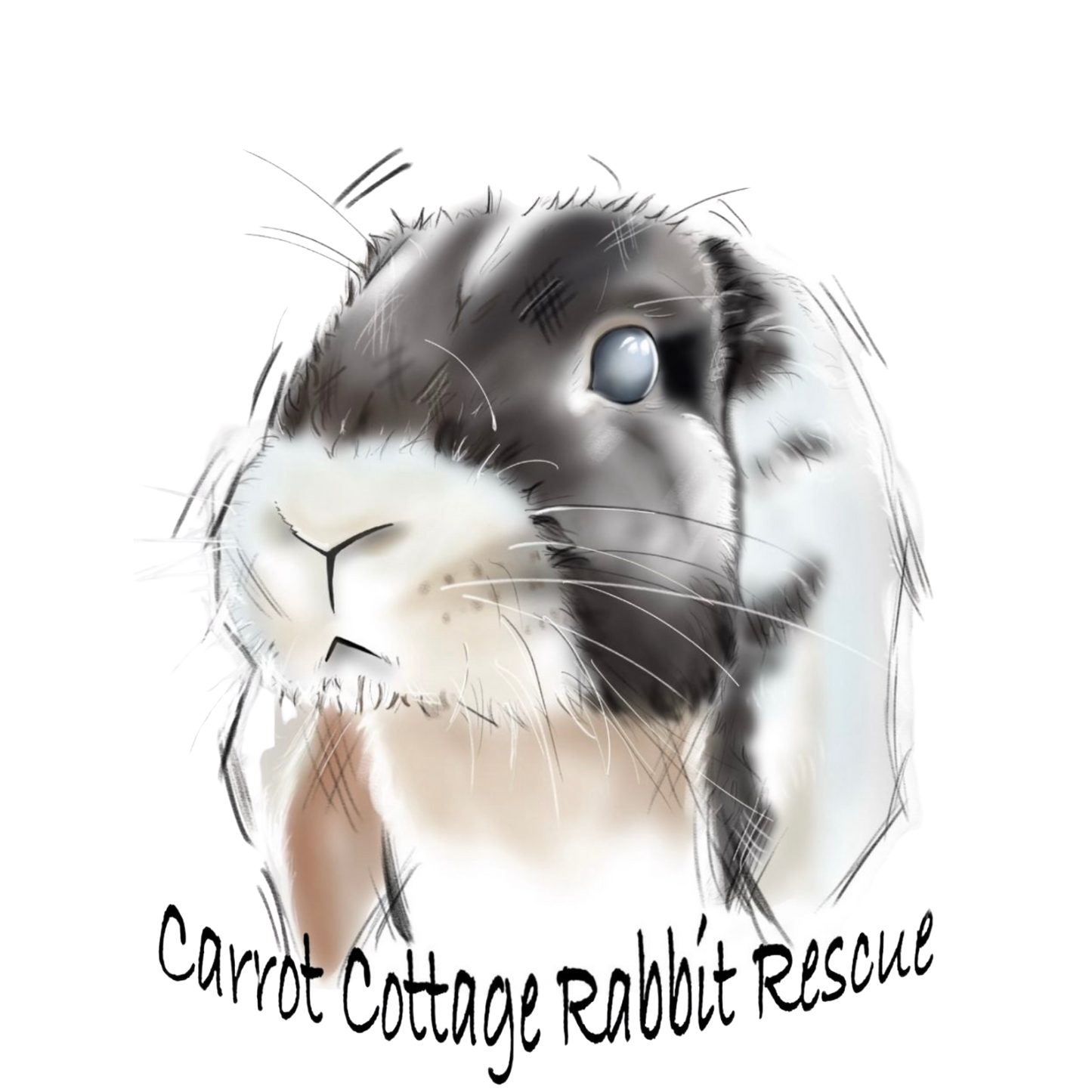 Carrot Cottage Rabbit - Howard Hoodie