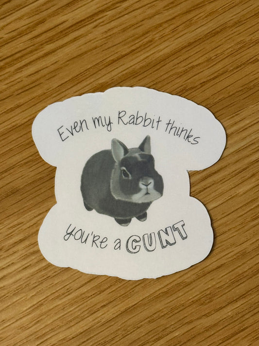 Even my rabbit thinks you’re a CUNT