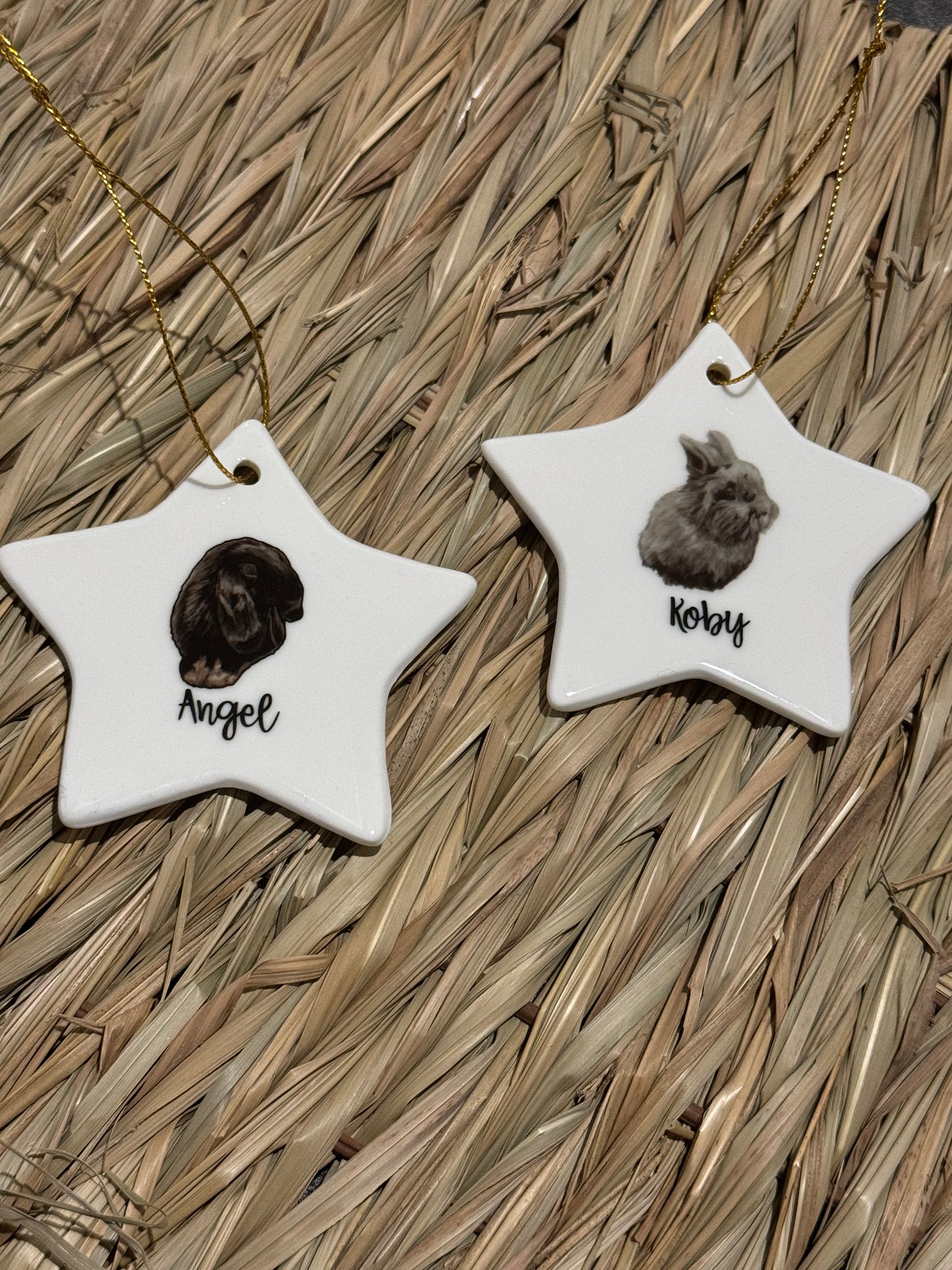 The Stars of Shrewsbury Rabbit Rescue Hanging Ceramic