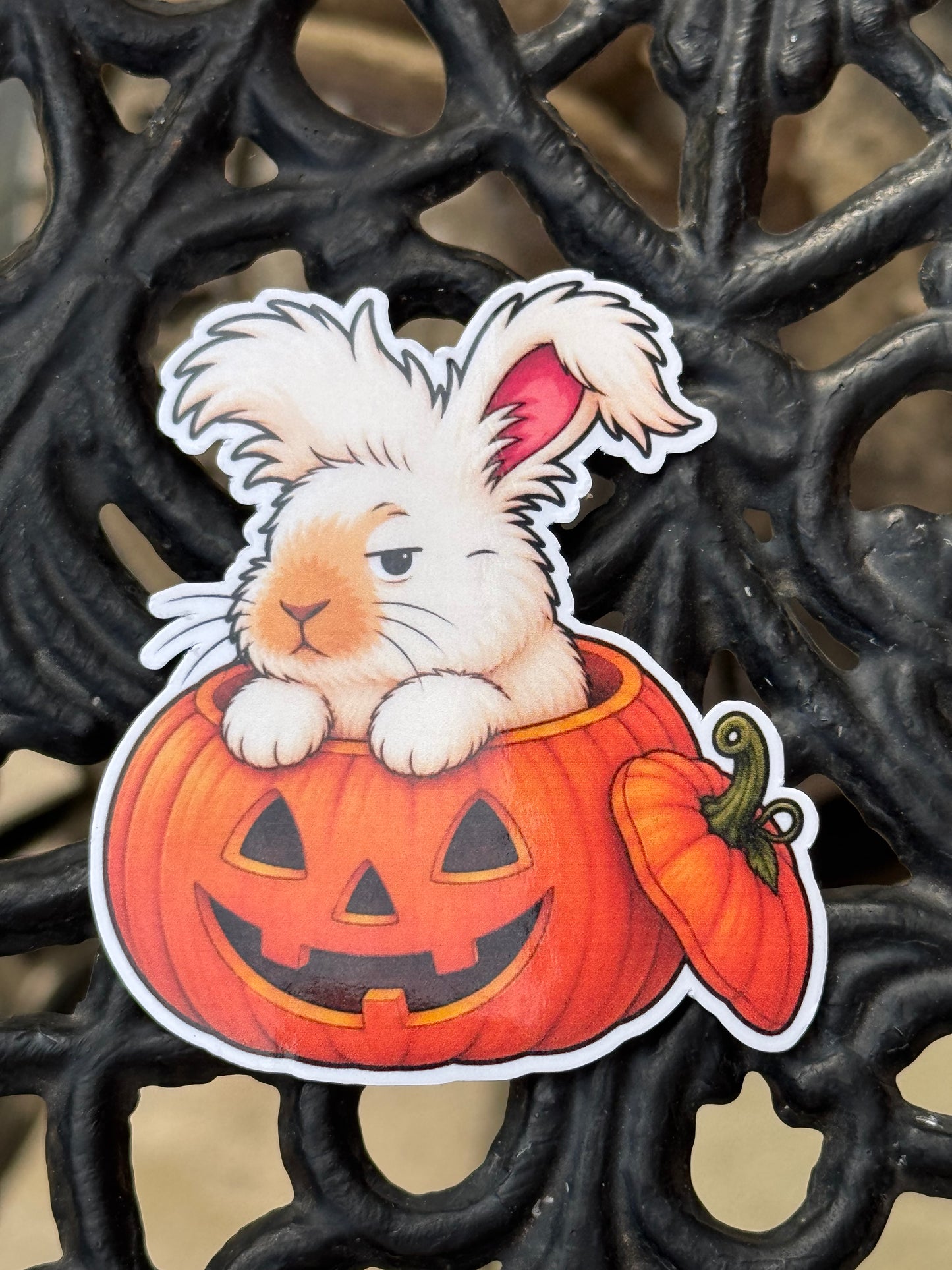 Spooky Buns - Bruce - Pumpkin
