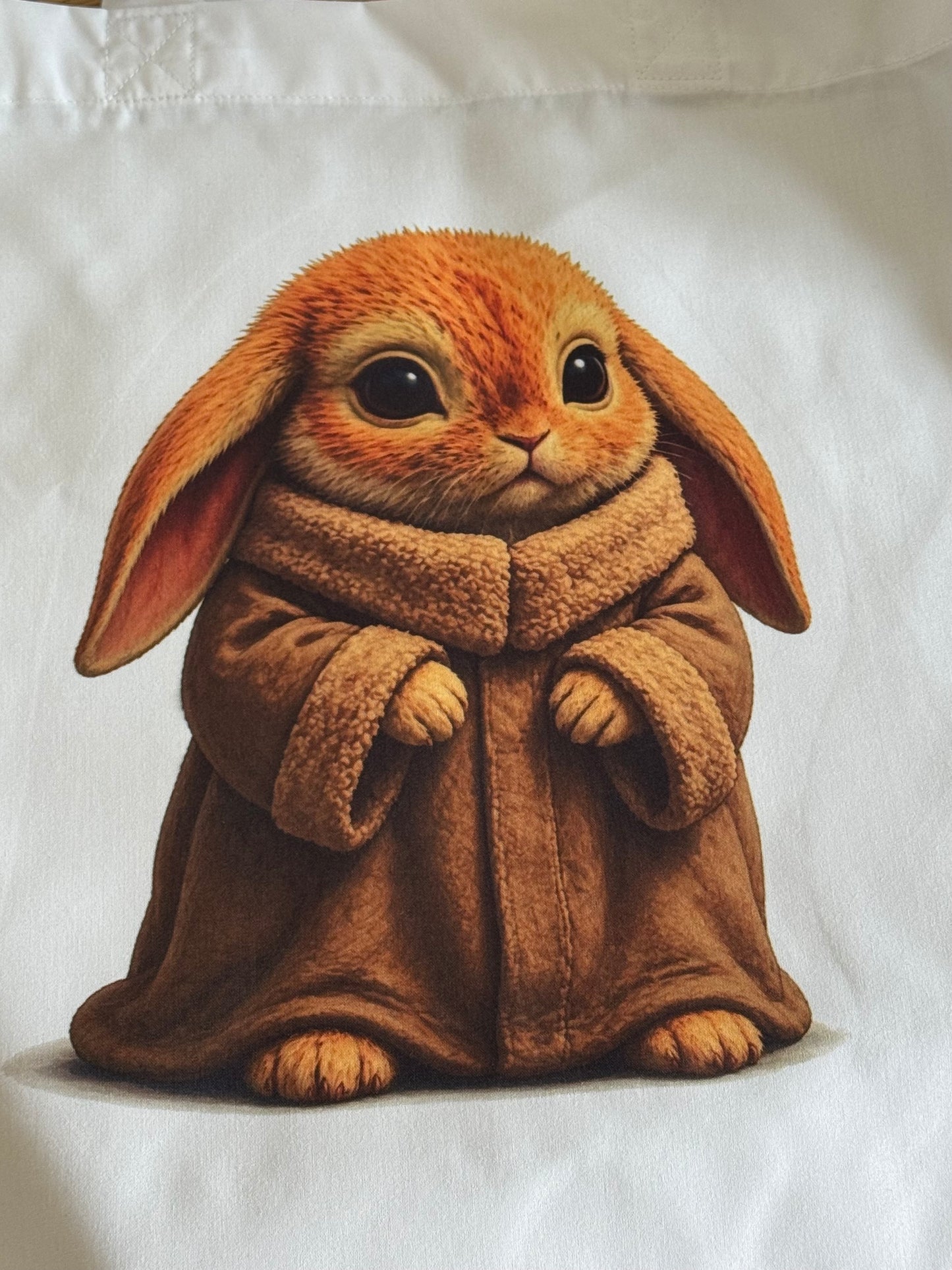 CCRR - Star Wars Parody Buns - Harry