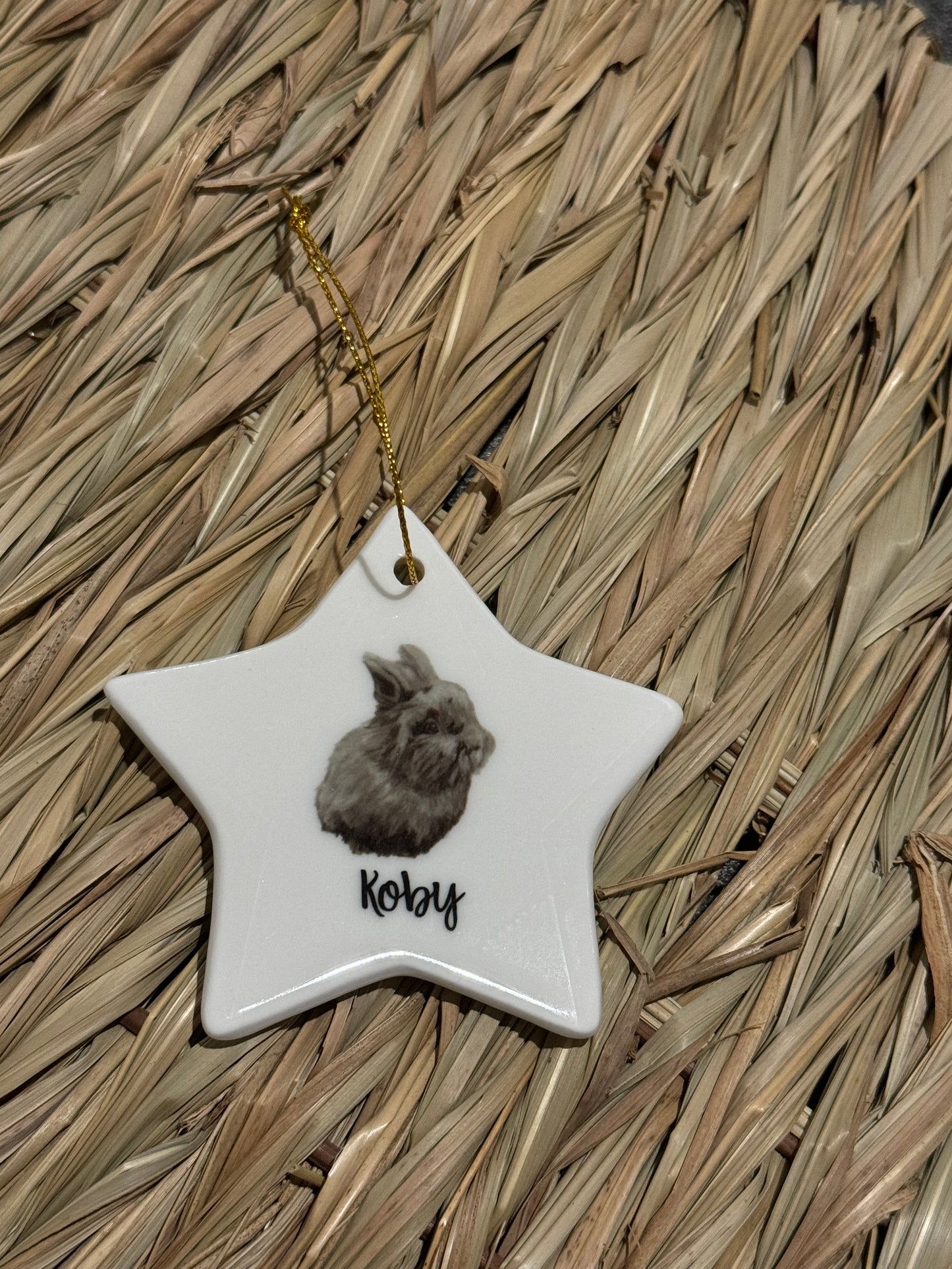 The Stars of Shrewsbury Rabbit Rescue Hanging Ceramic