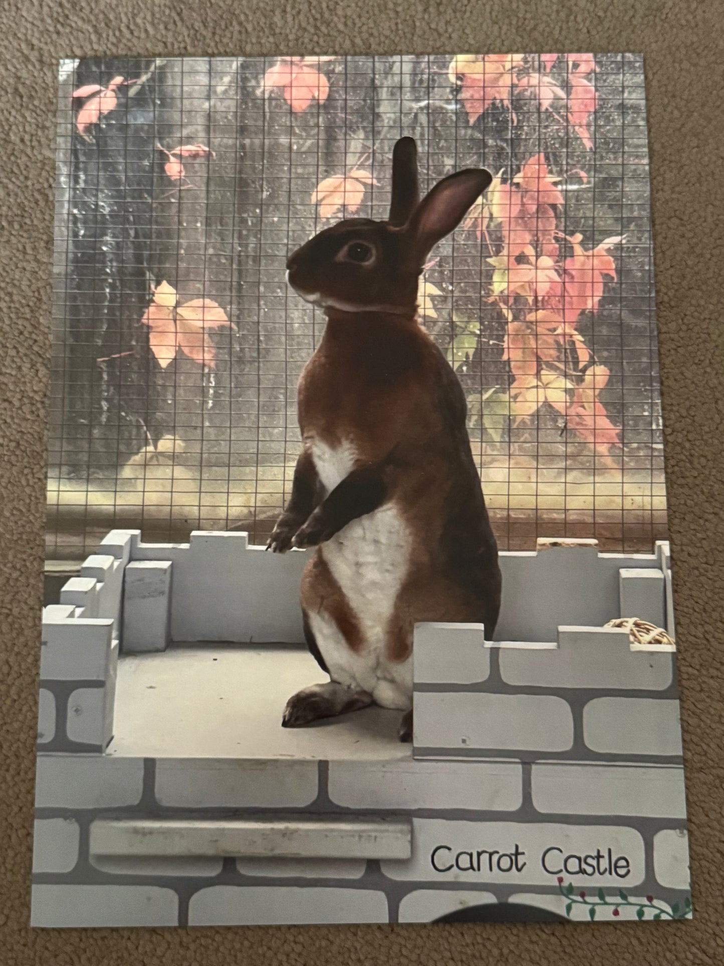 Monday Madness - A4 Art Prints