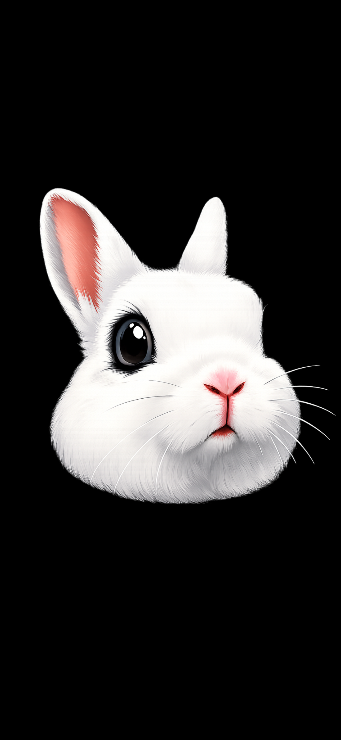 Fundraiser for Clement Rabbit Rescue