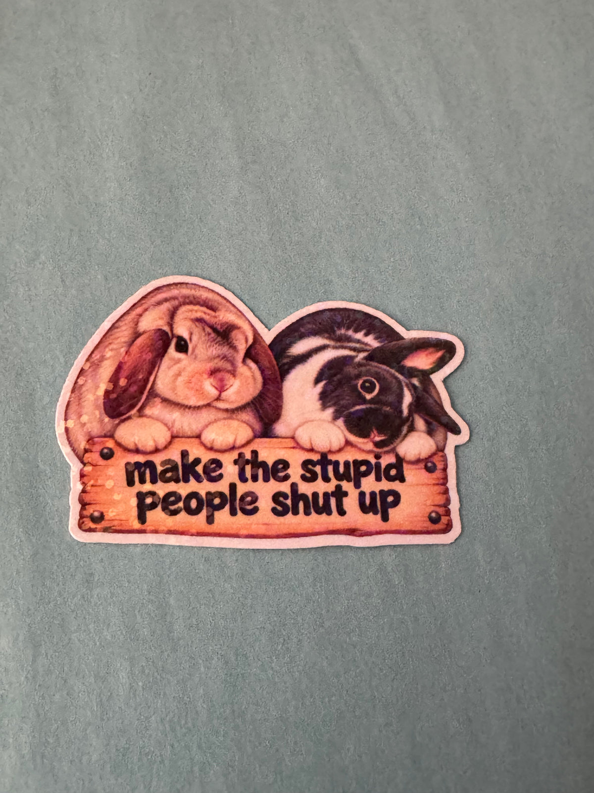 Naughty Bunnies - Make the stupid people shut up