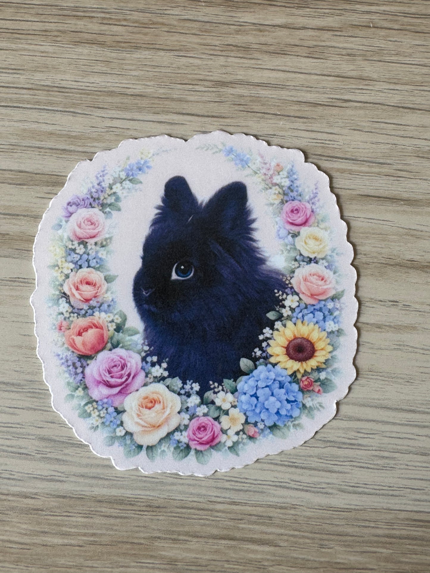 Fundraiser for Carrot Cottage Rabbit Rescue - Dora