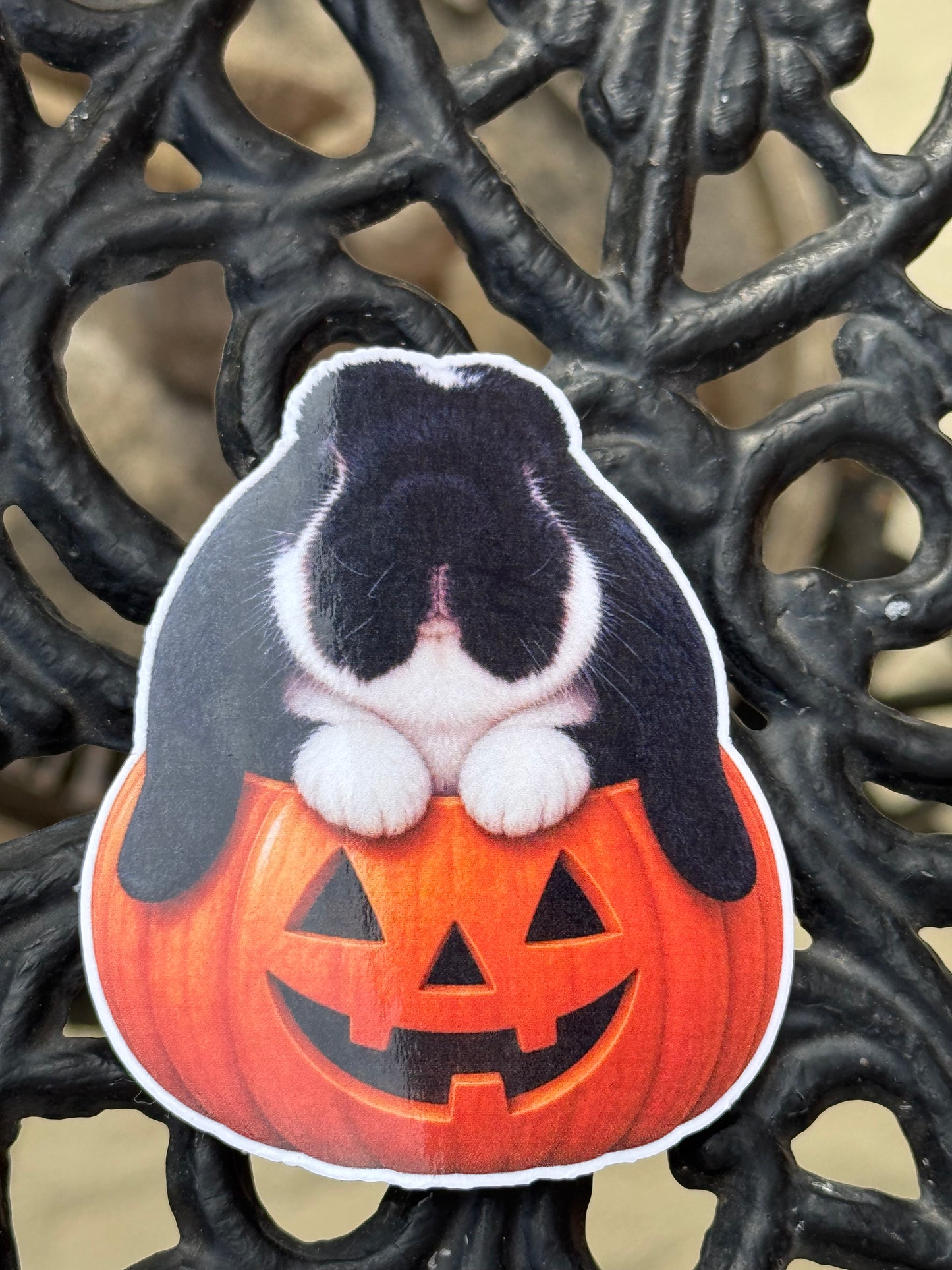 Spooky Buns - TJ - Pumpkin