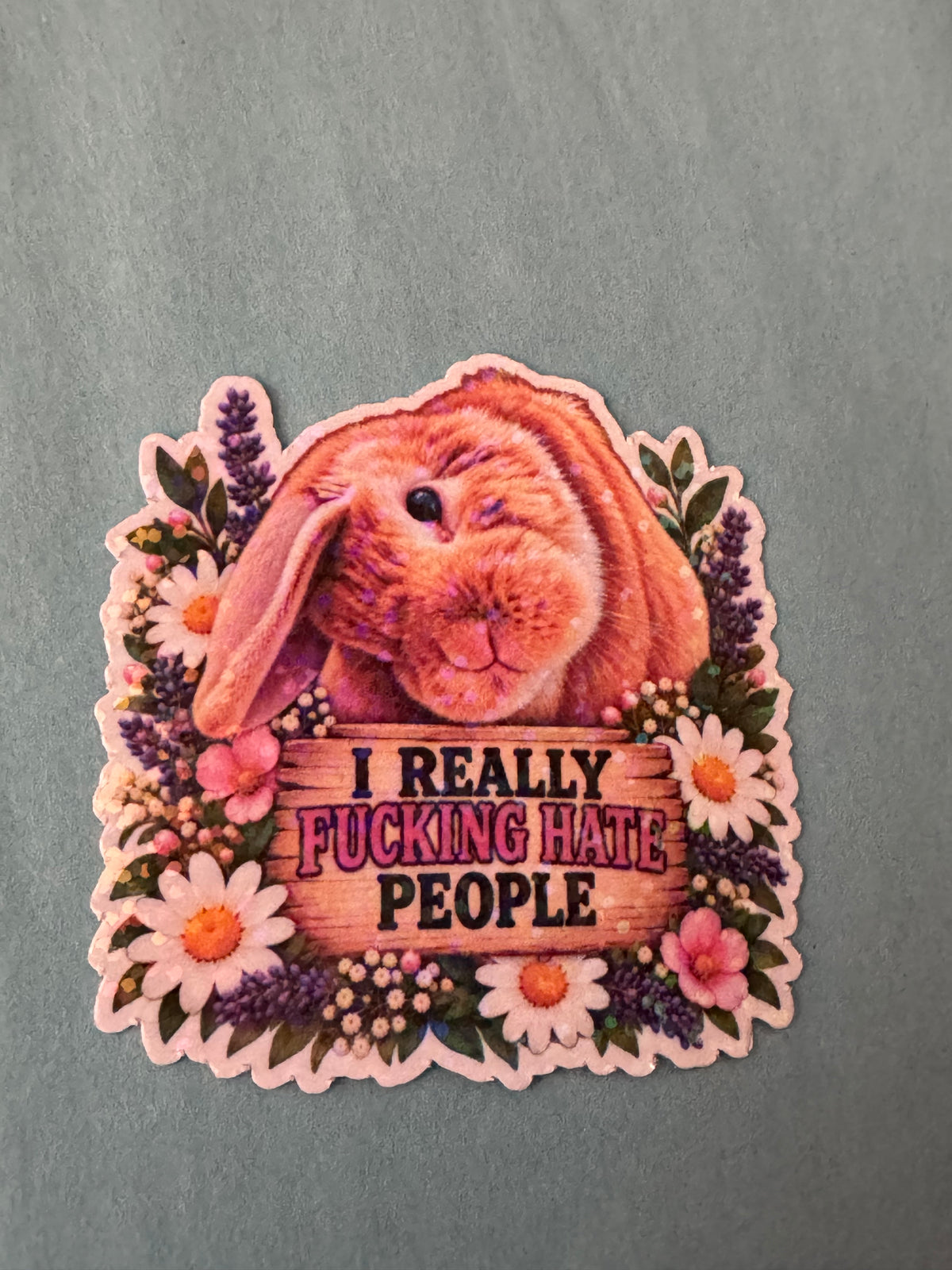 Naughty Bunnies - I Really Fucking Hate People