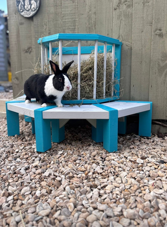 Fundraiser for Carrot Cottage Rabbit Rescue