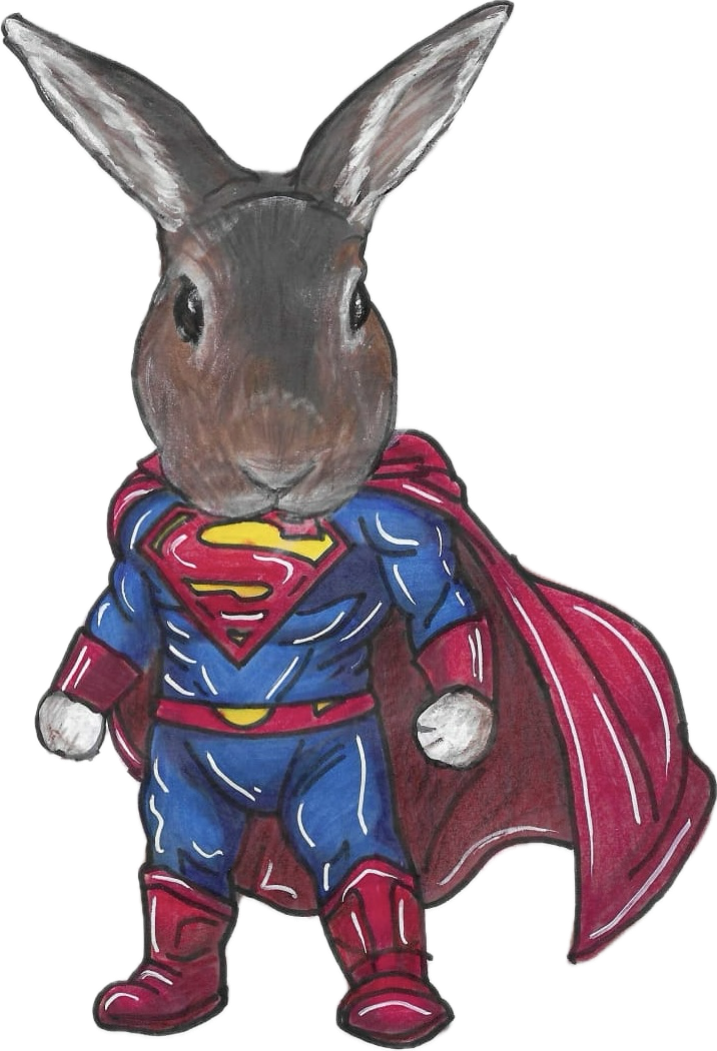 Super Bun