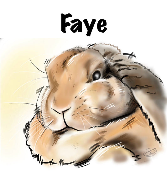 CCRR - Faye
