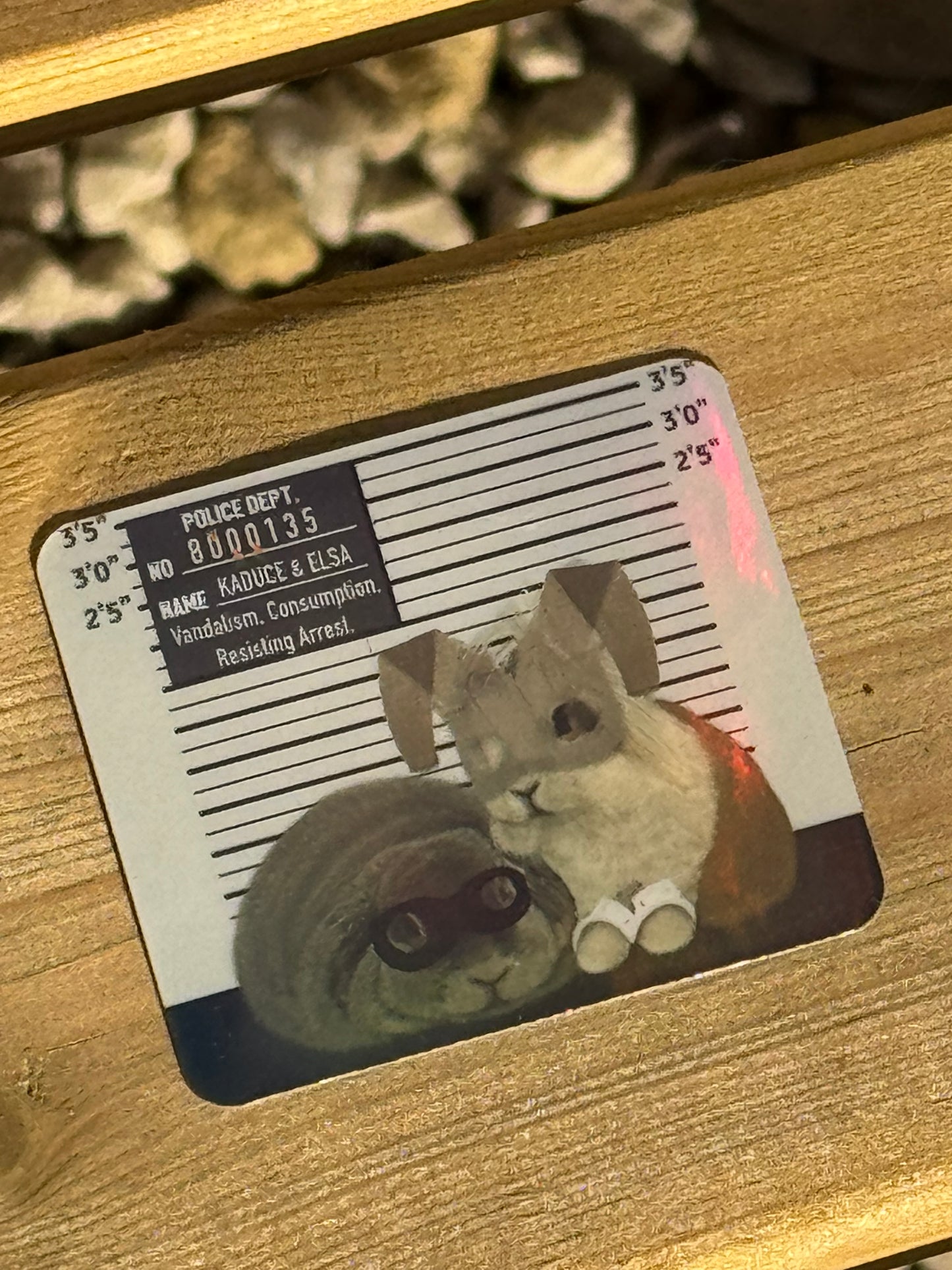 Criminal Bunnies