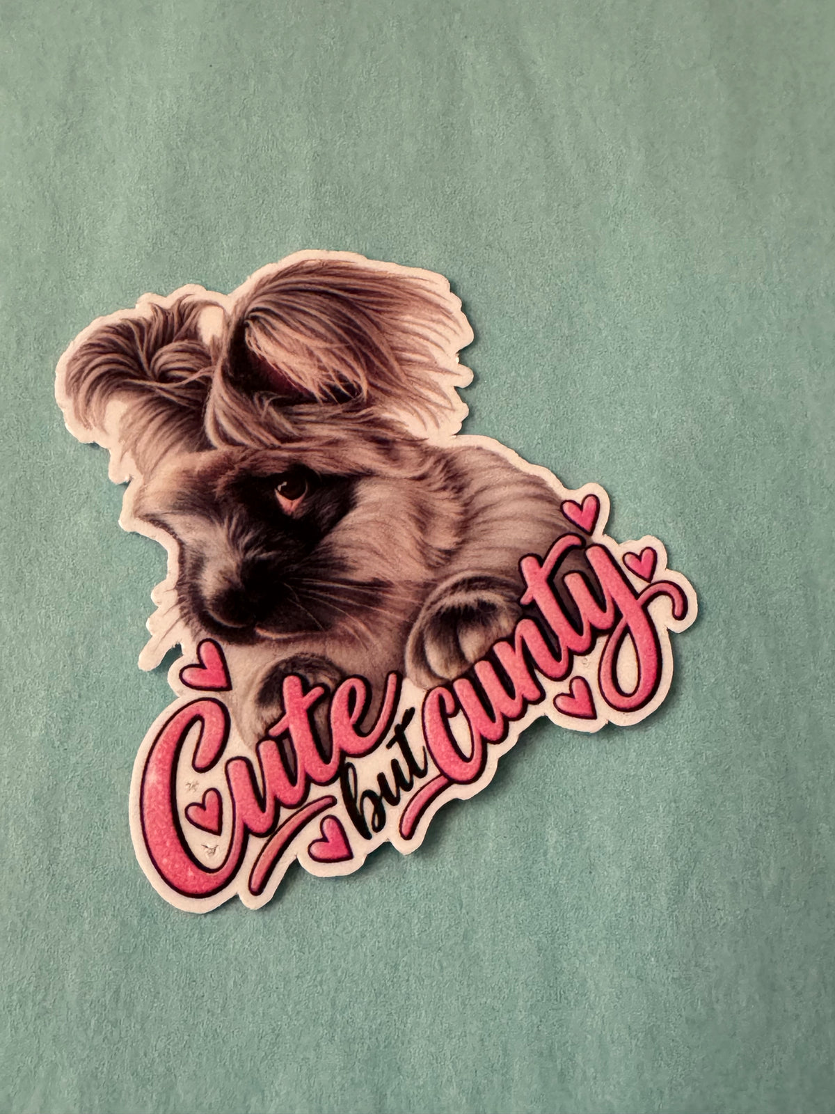 Naughty Bunnies - Cute but cunty