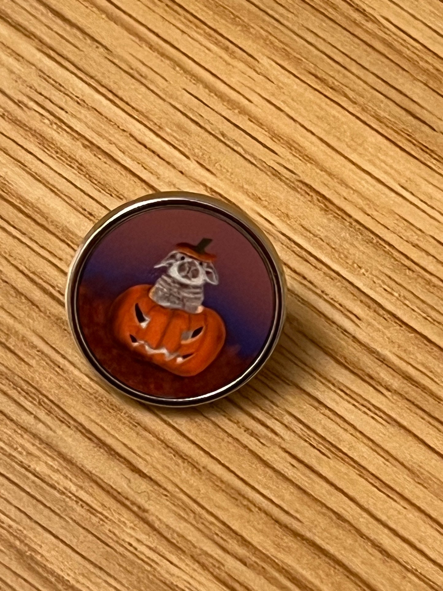 Cute Bunny Rabbit Halloween Pins