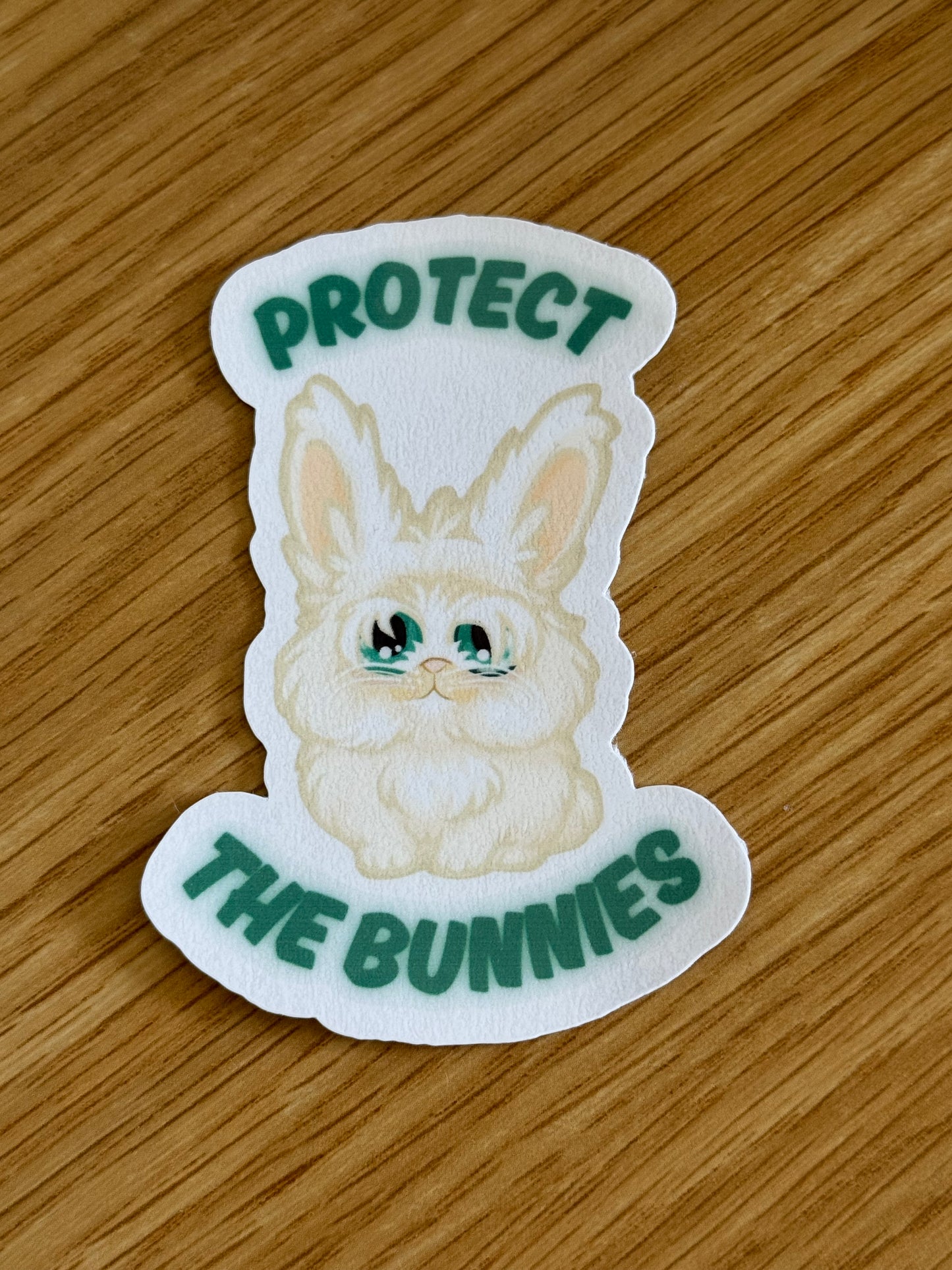 Carrot Cottage Rabbit Rescue - Protect The Bunnies - Bruce